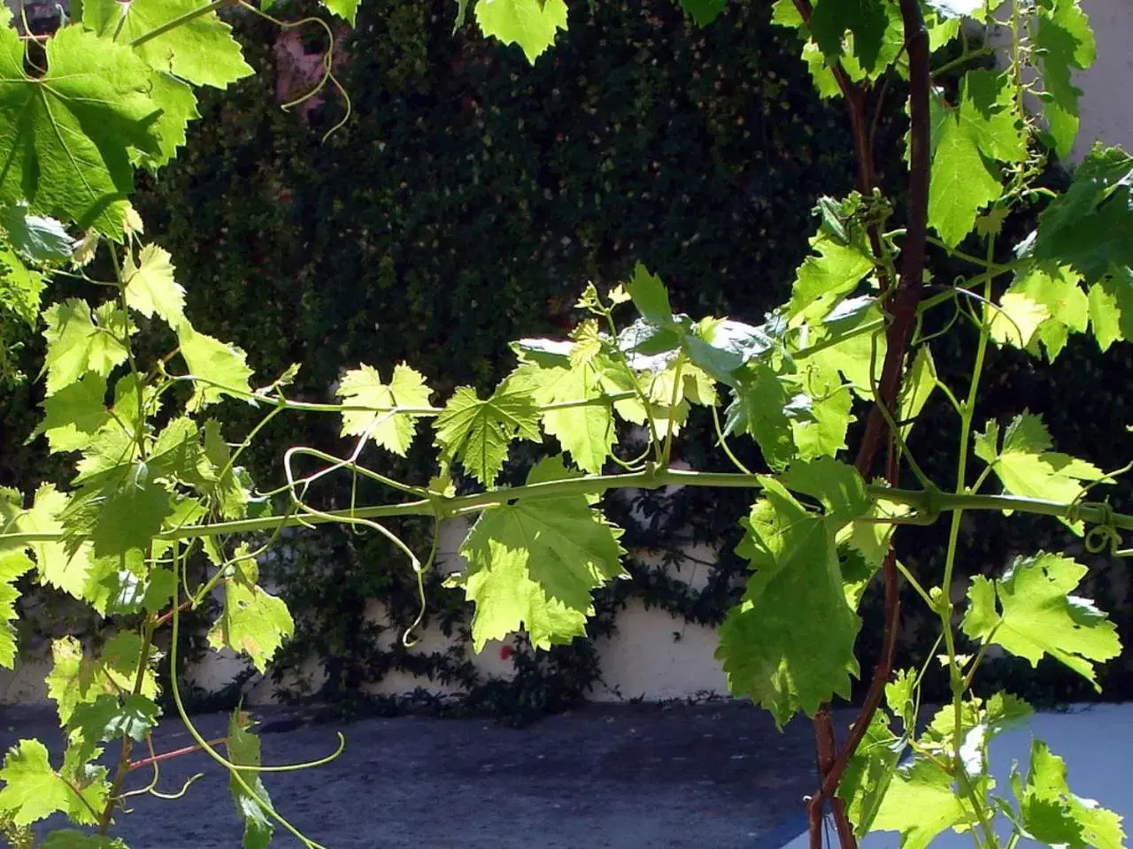 Garden in Le Clos Chez Michel