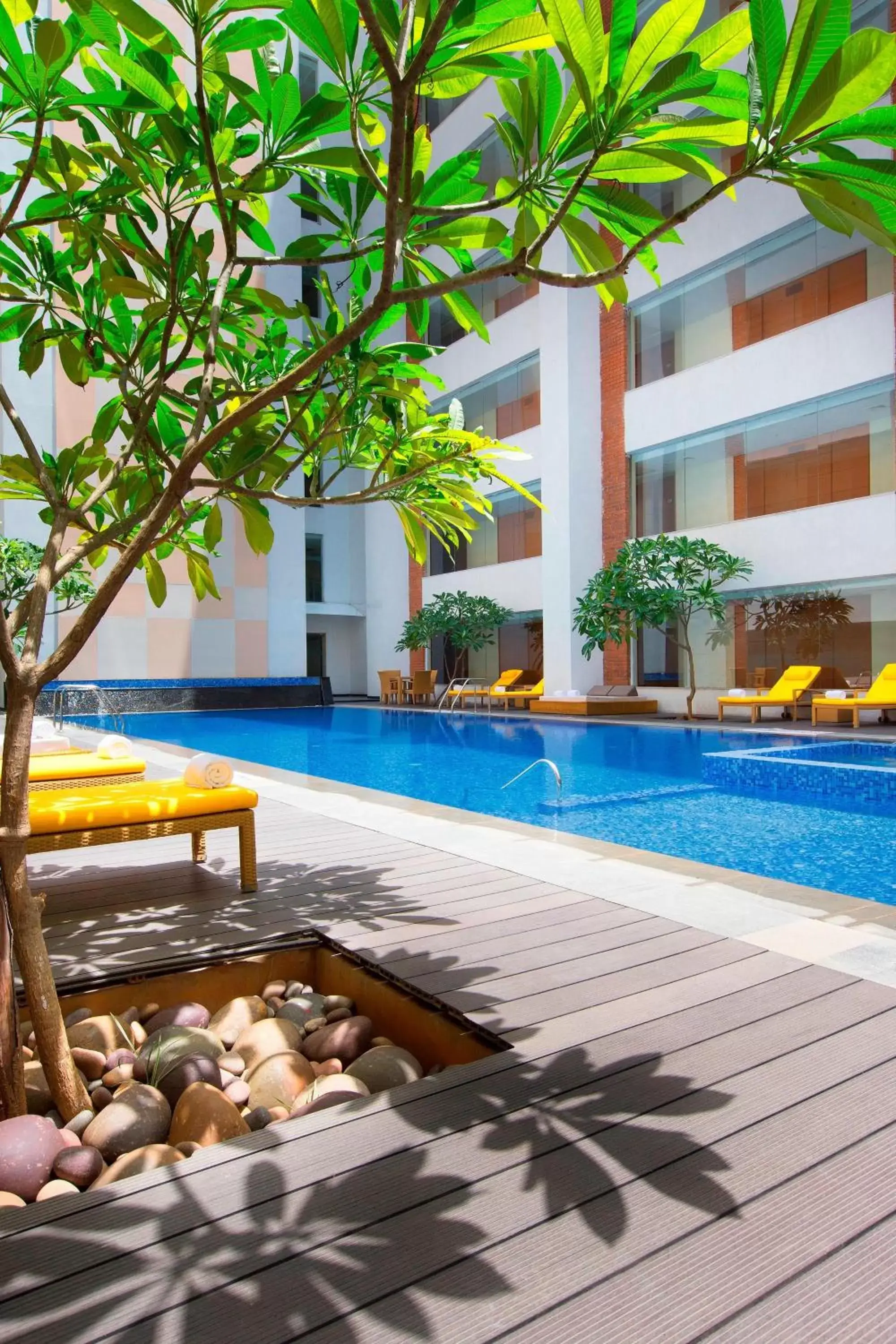 Swimming Pool in Sheraton Hyderabad Hotel