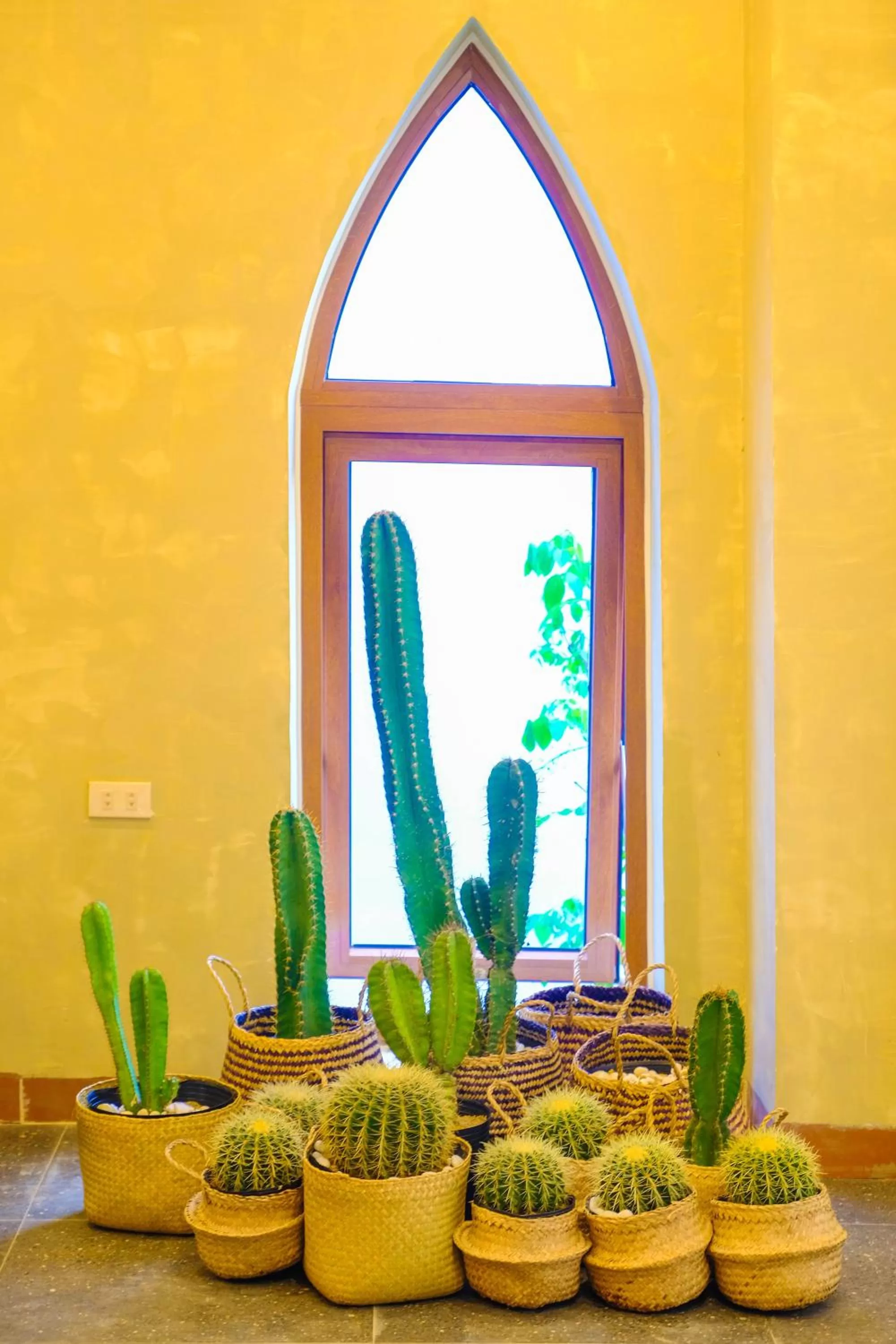 Decorative detail, Food in Eo Gió Có Homestay