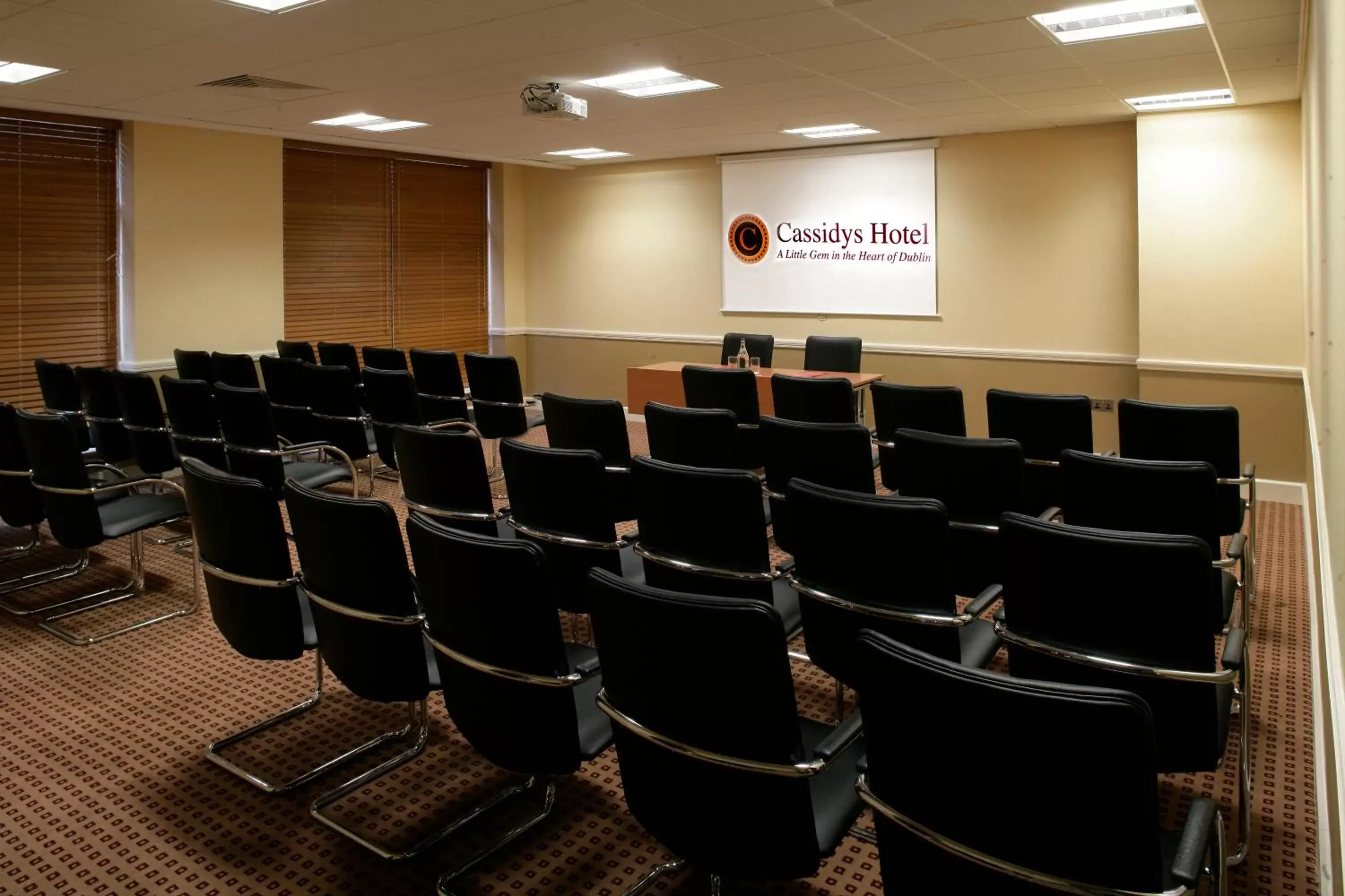 Business facilities in Cassidys Hotel