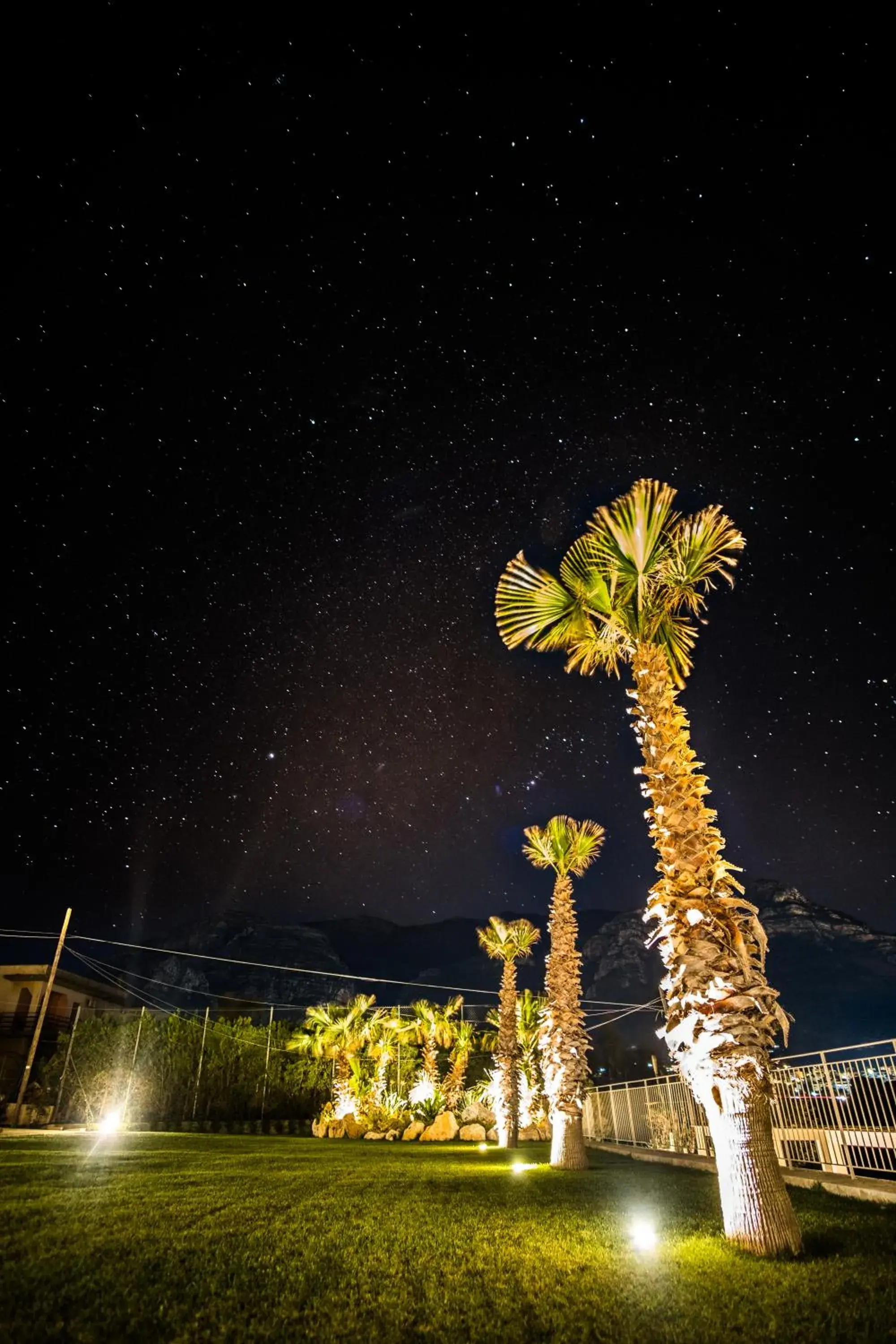 Garden in La Blanca Resort & Spa