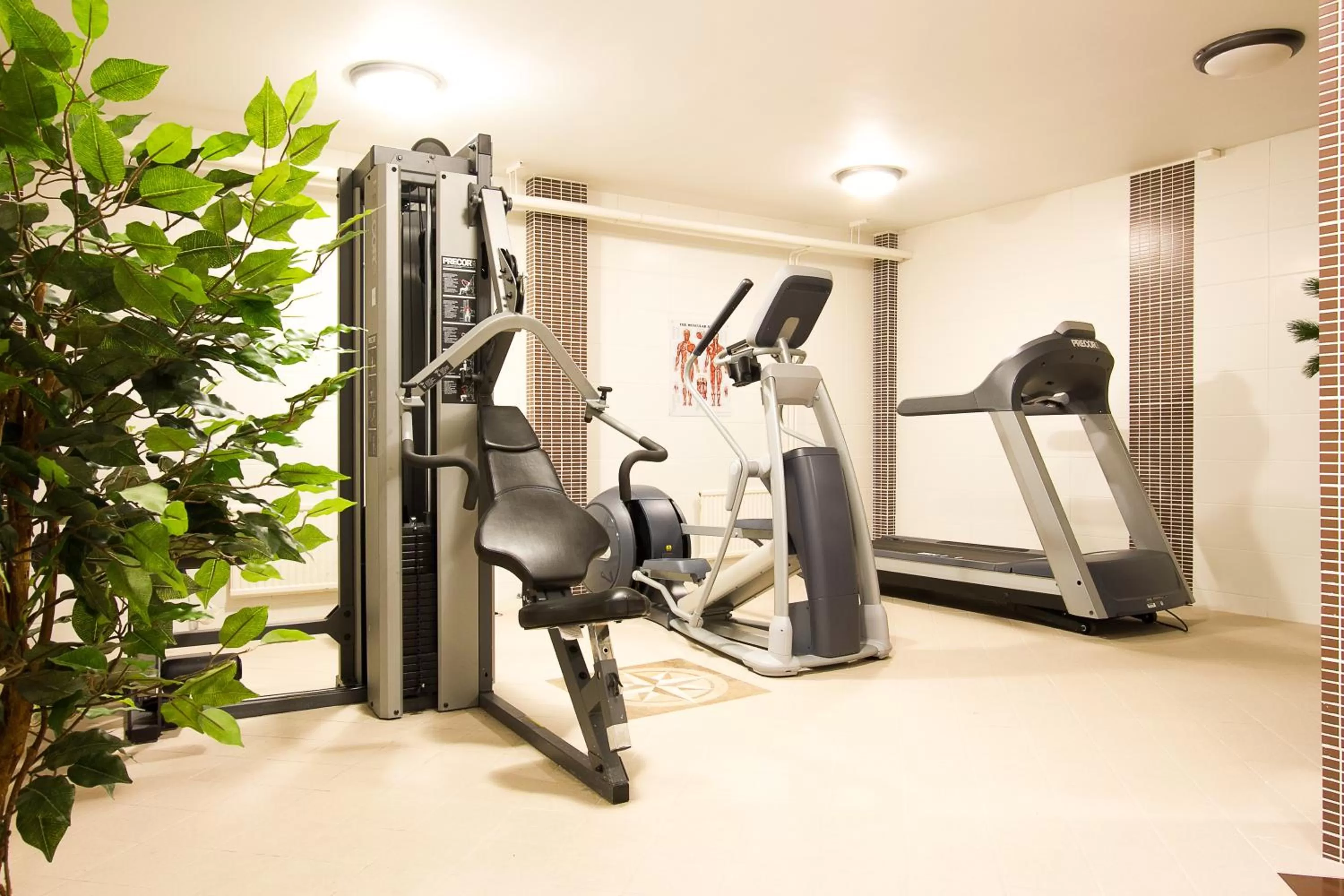 Fitness centre/facilities in Hotell Stinsen