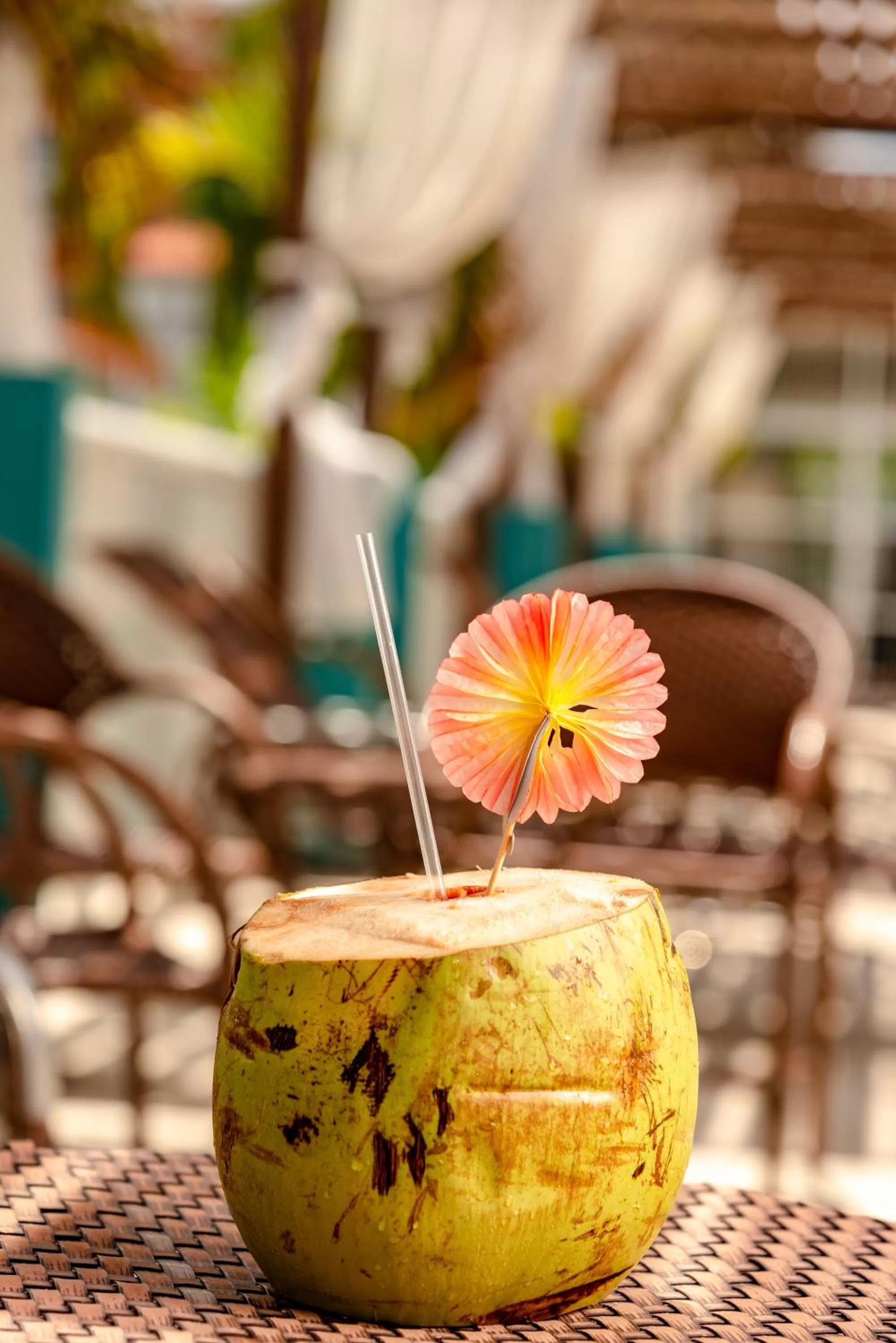 Day in Oasis Imperial & Fortaleza