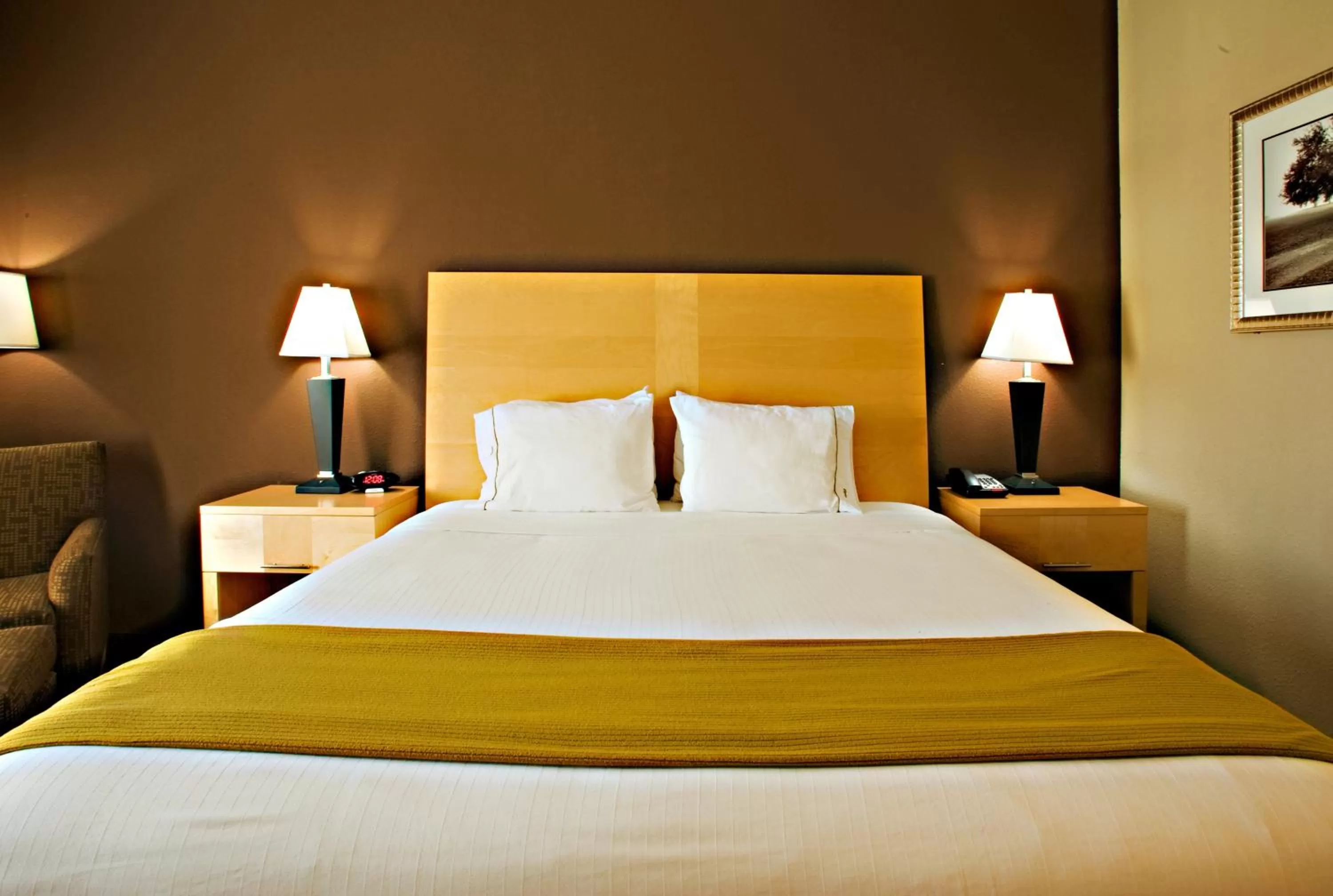 Bed in Holiday Inn Express Hotel and Suites Borger by IHG