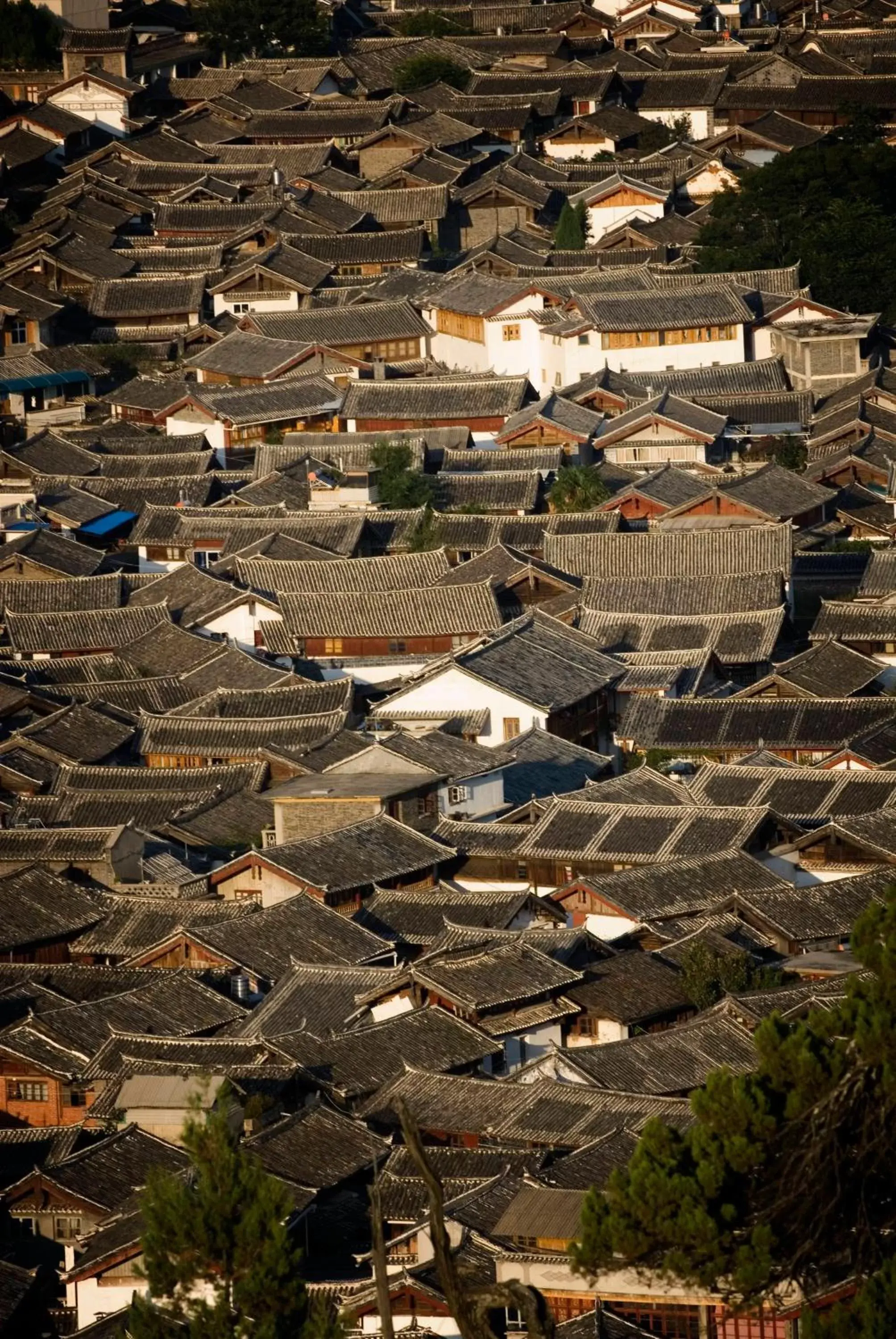 Area and facilities, Bird's-eye View in Banyan Tree Lijiang