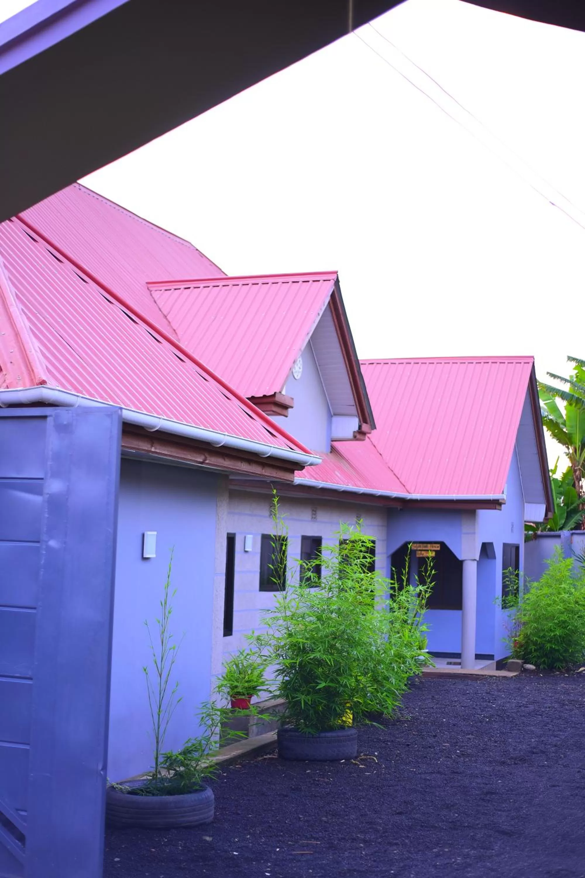 Property building in Safari Park House