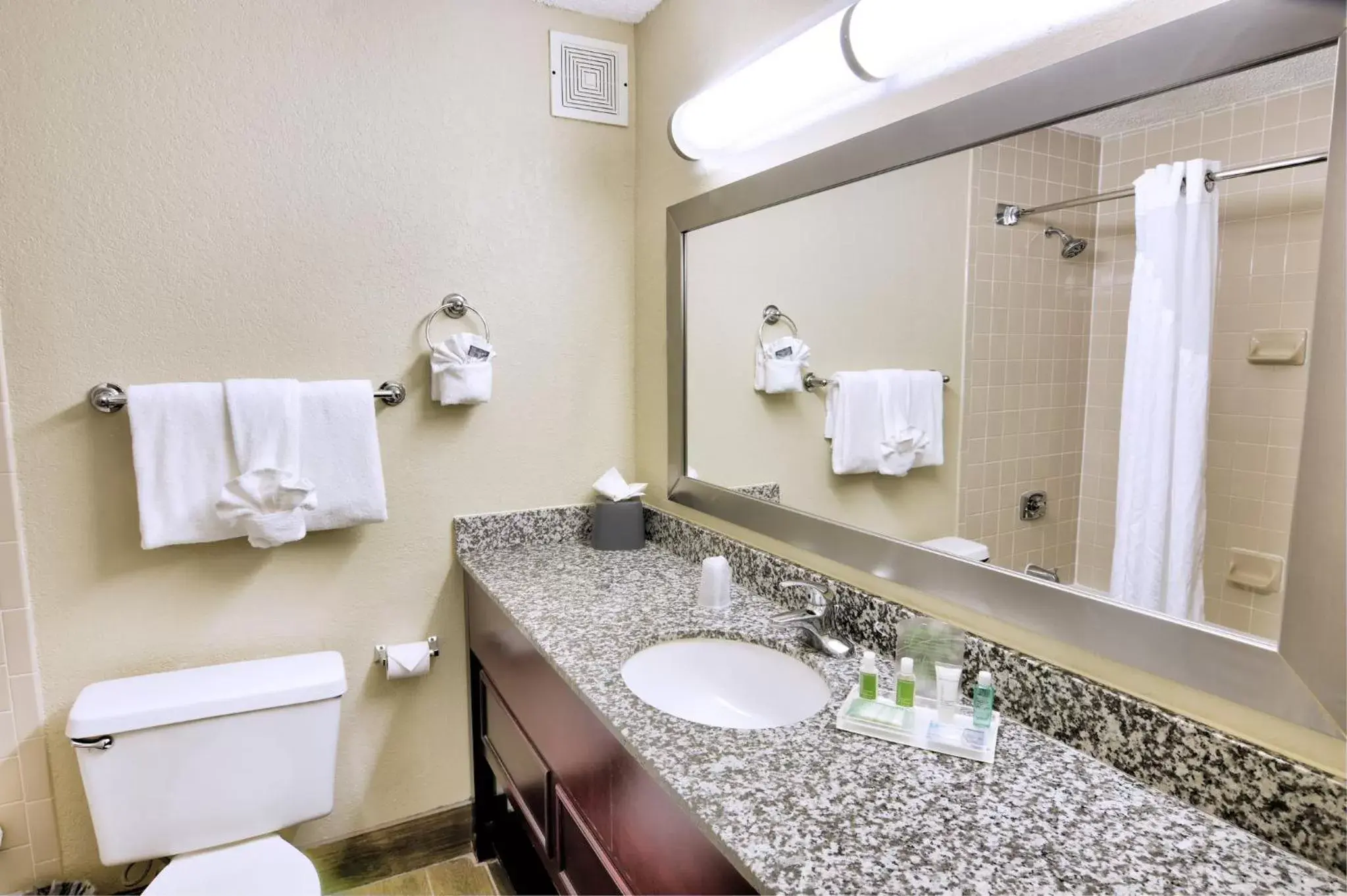 Bathroom in Holiday Inn St. Petersburg N - Clearwater, an IHG Hotel