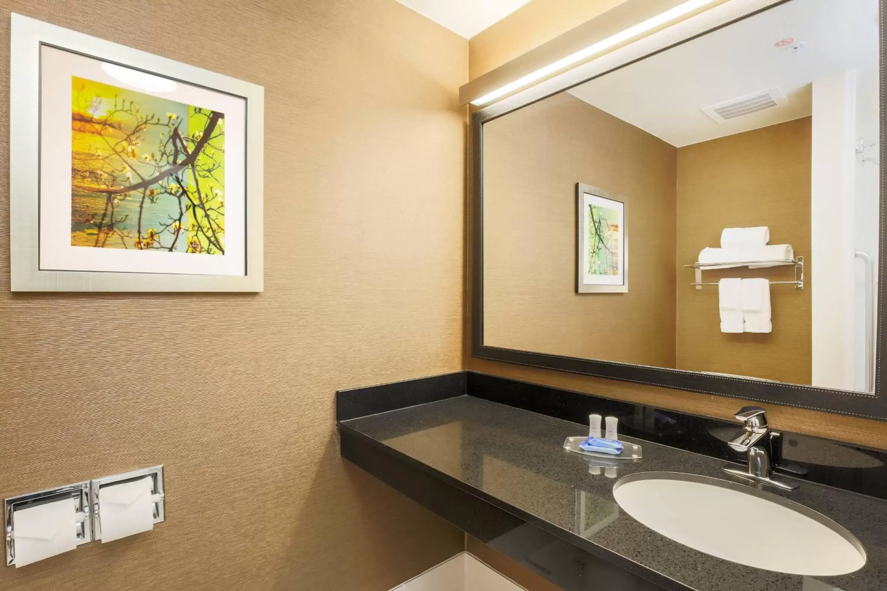 Bathroom in Fairfield by Marriott Inn & Suites Las Vegas Stadium Area