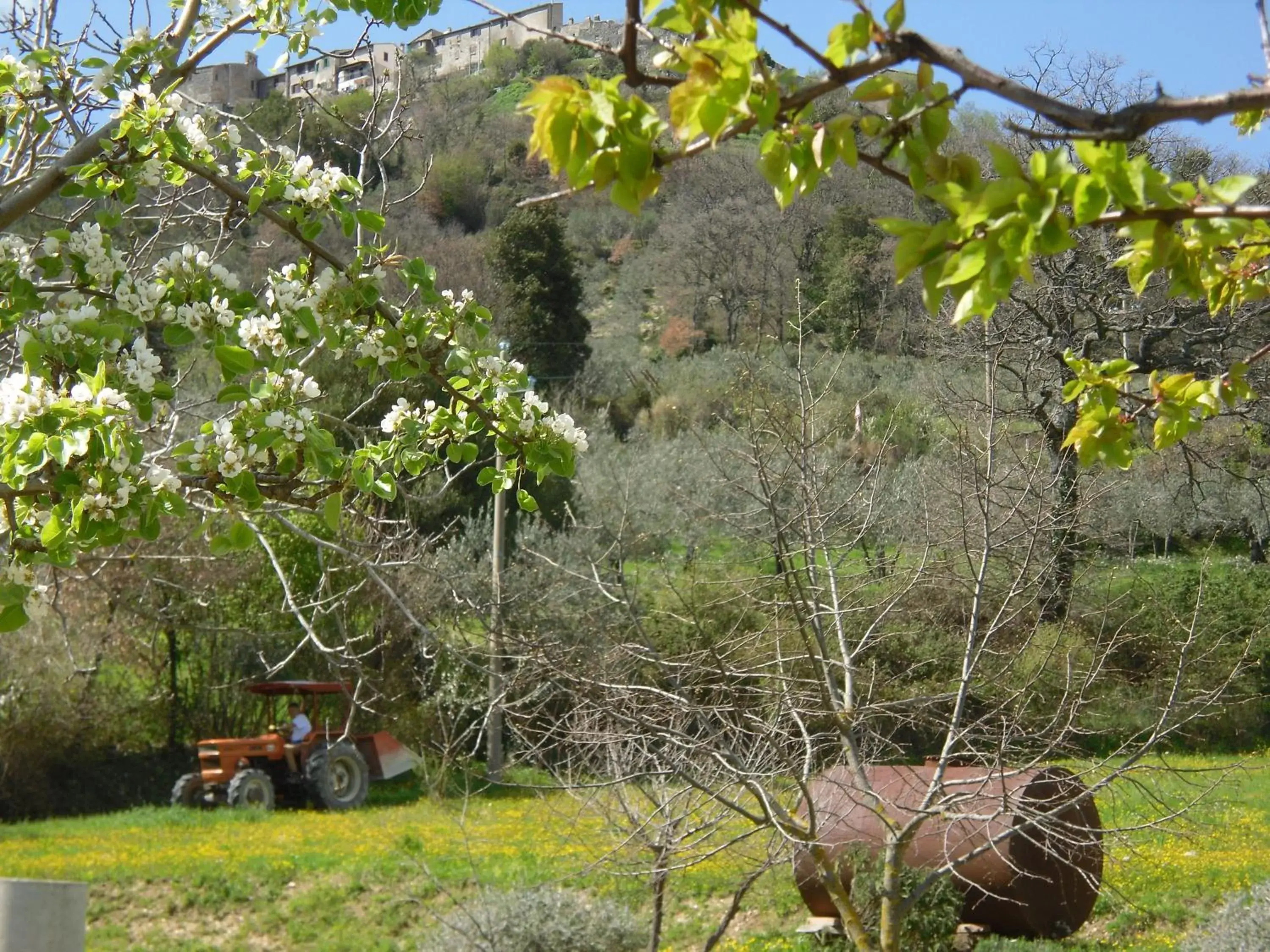 Nearby landmark, Garden in Montanari Agrivillage