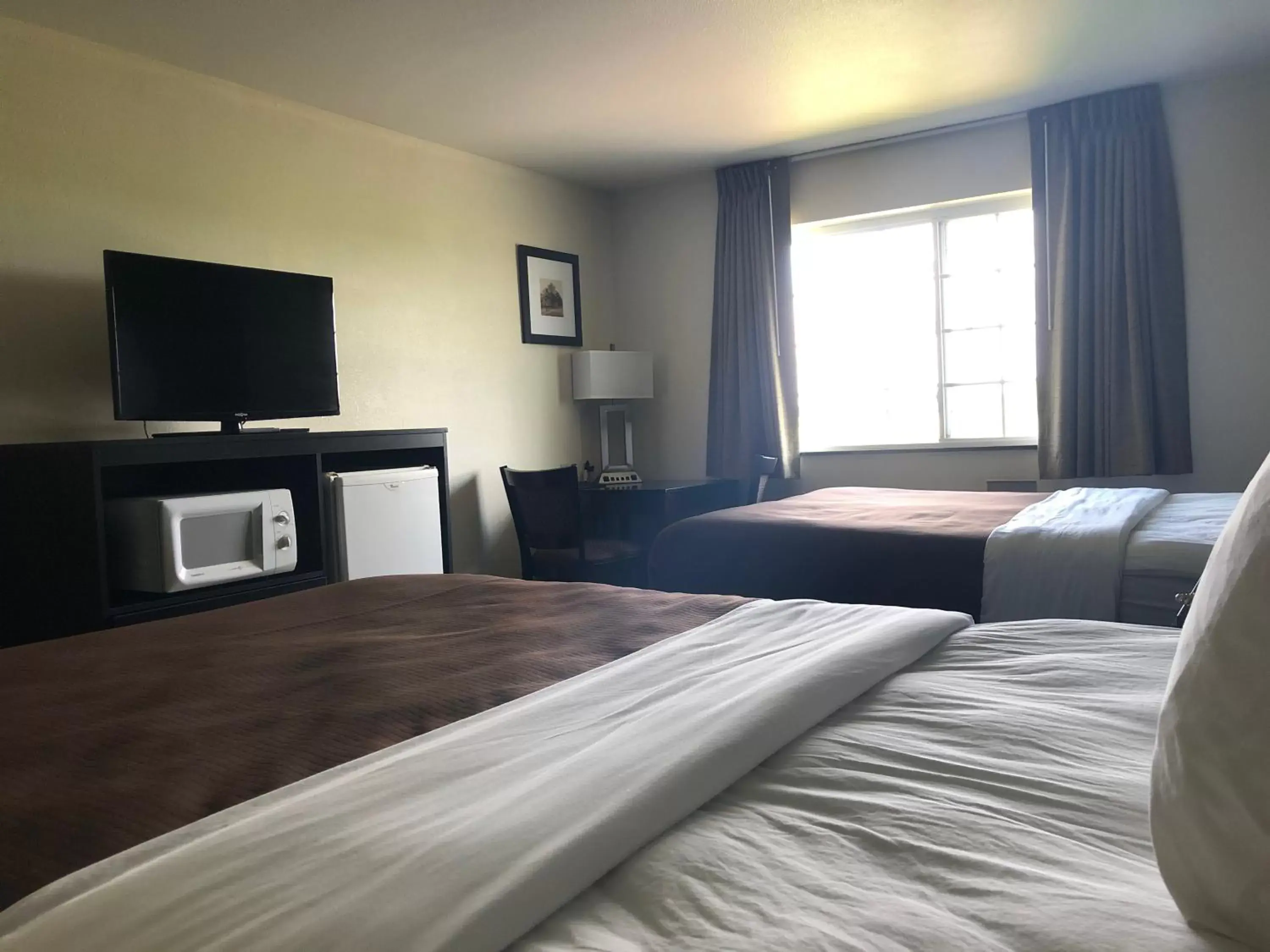 Guests, Bed in AmericInn by Wyndham Maquoketa