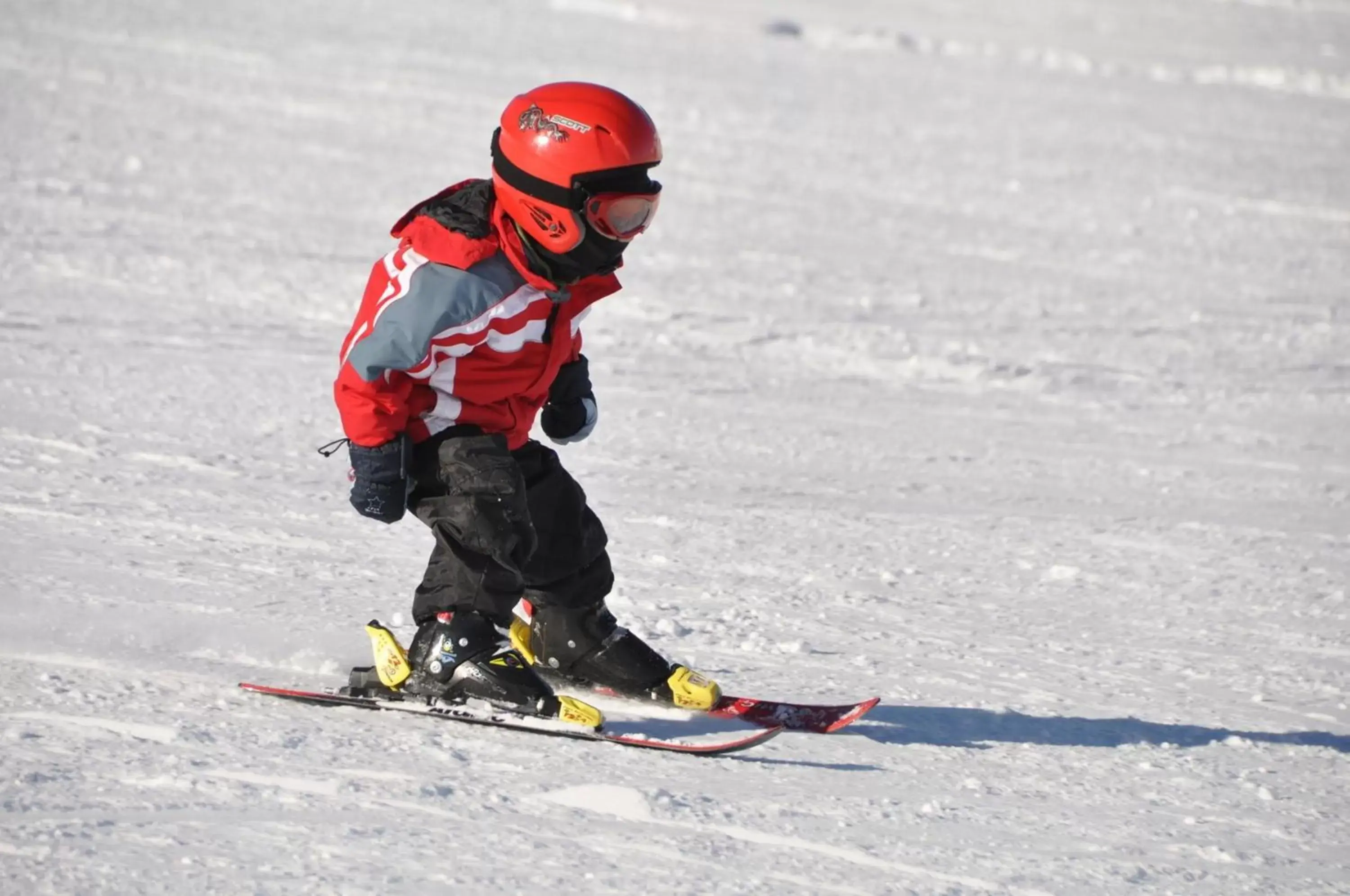 Skiing in Hotel Seehof-Arosa