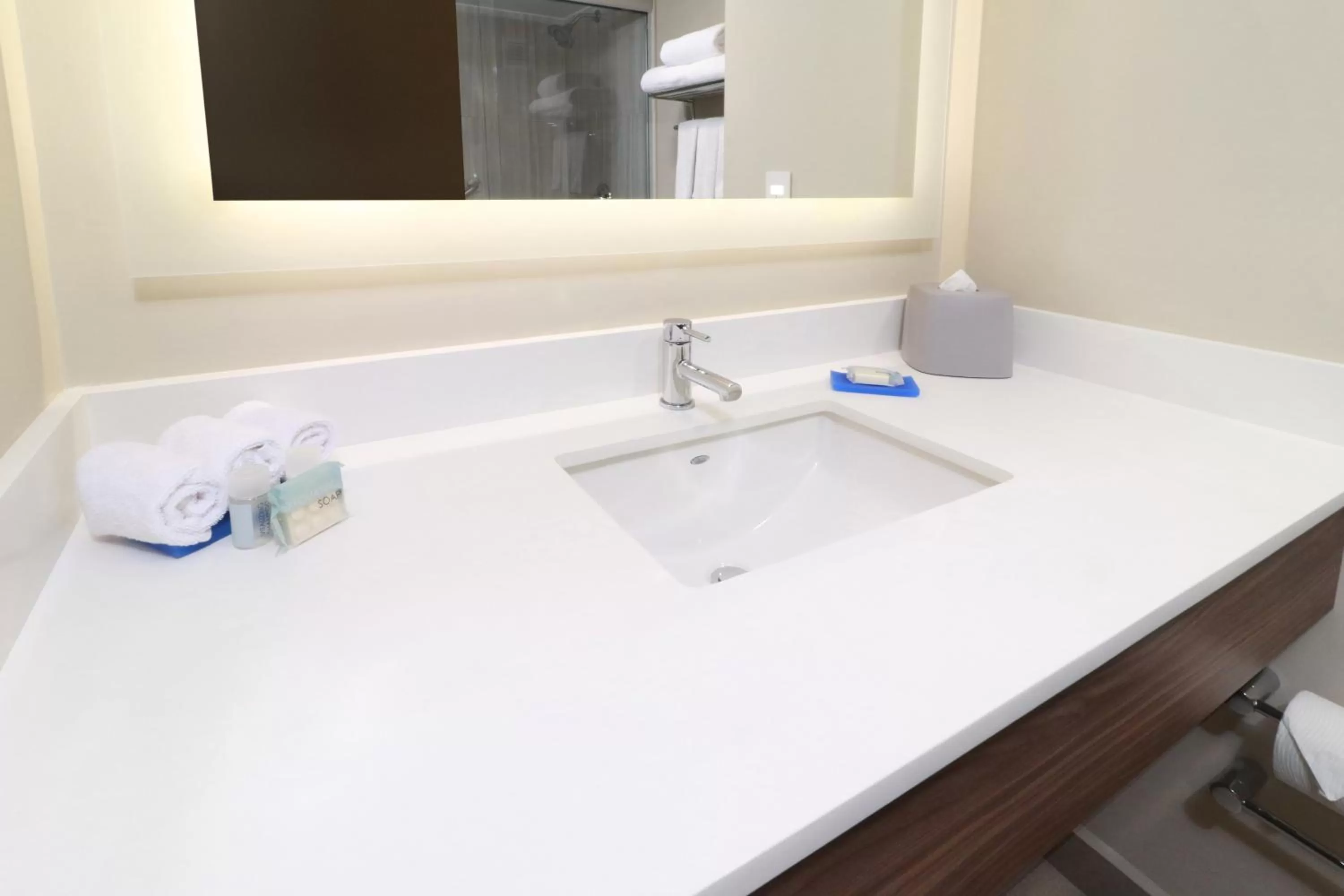 Bathroom in Holiday Inn Express Guadalajara Aeropuerto by IHG