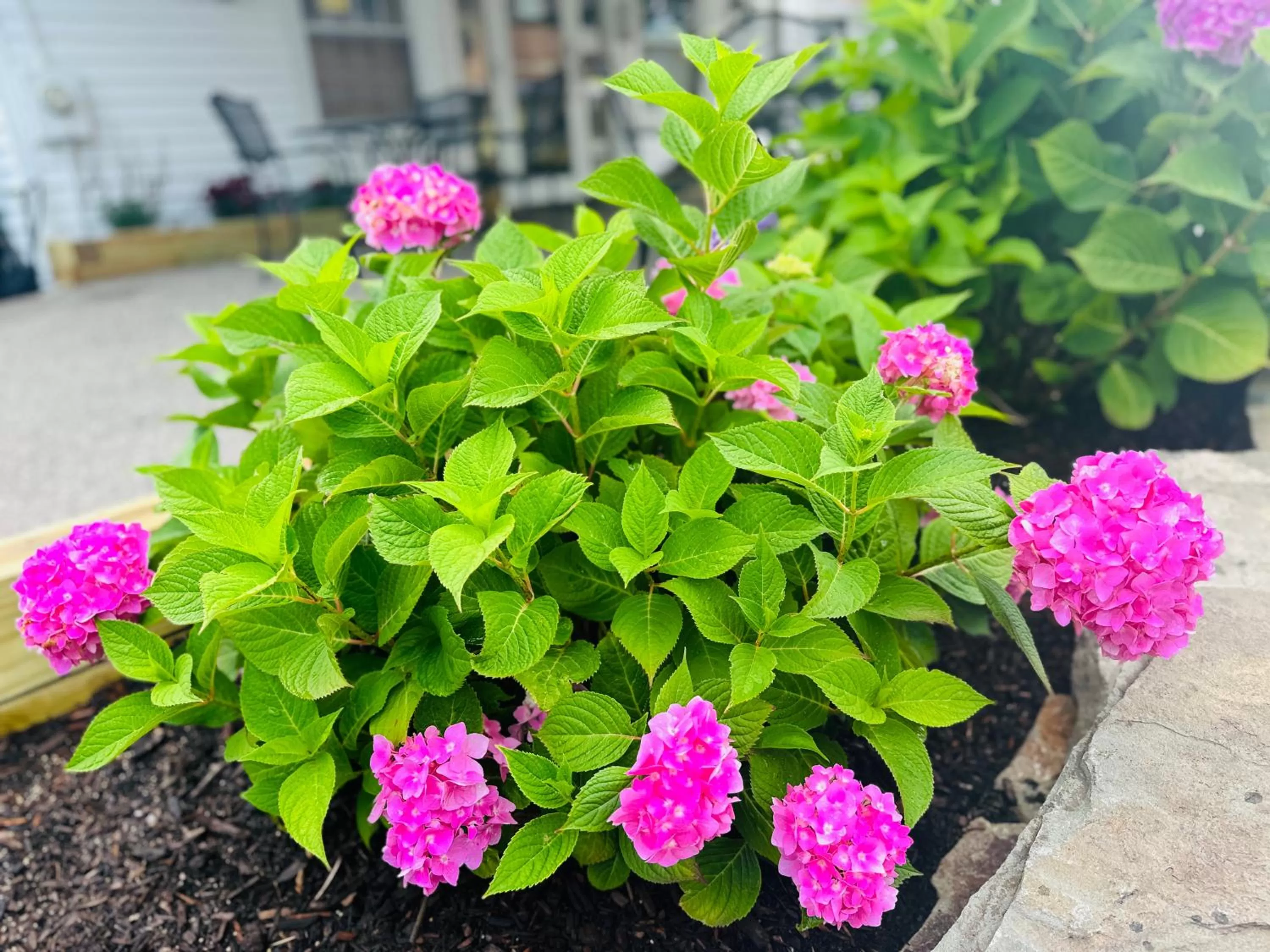 Property building in Blue Spruce