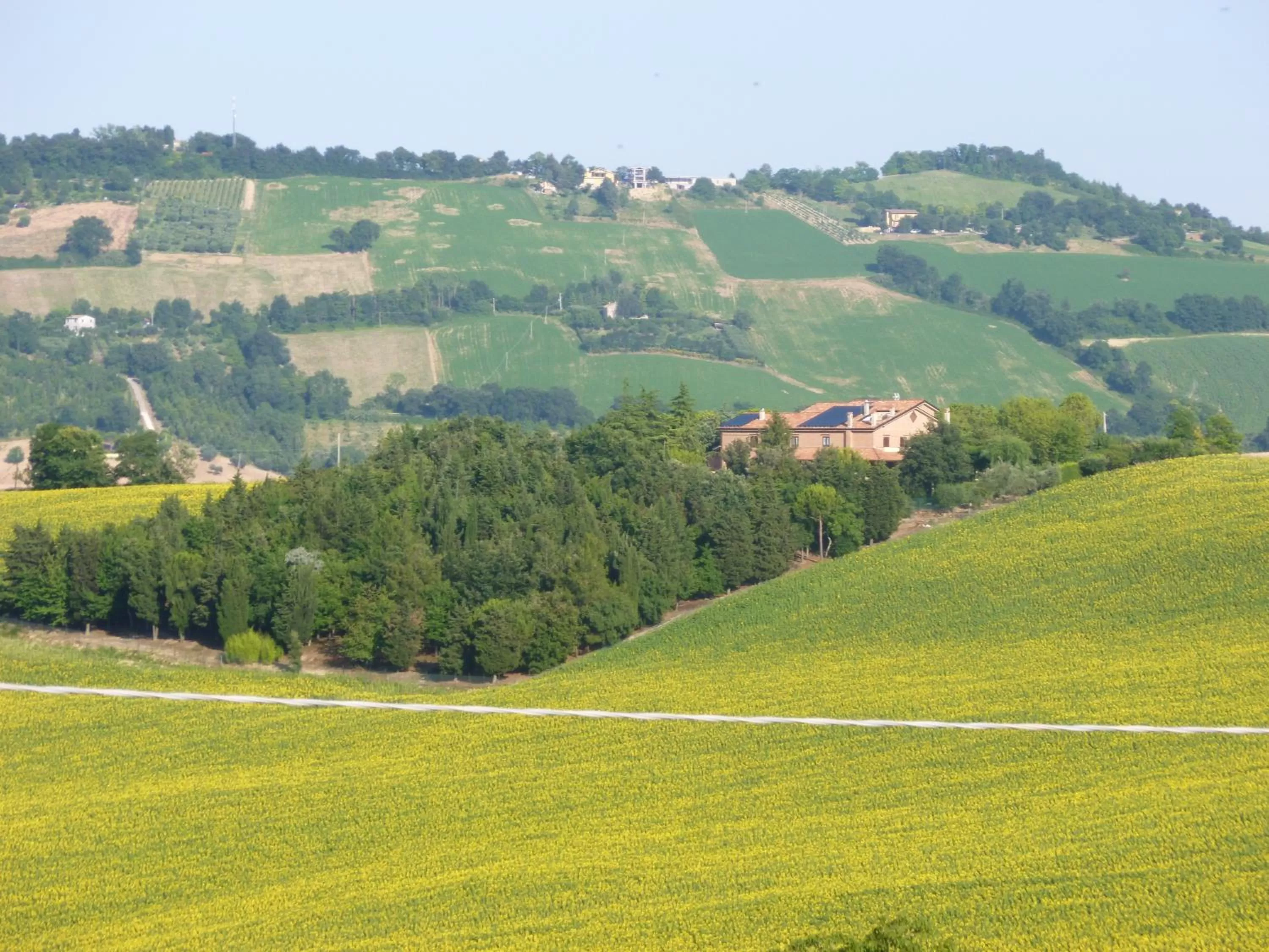 Neighbourhood in B&B Timeout