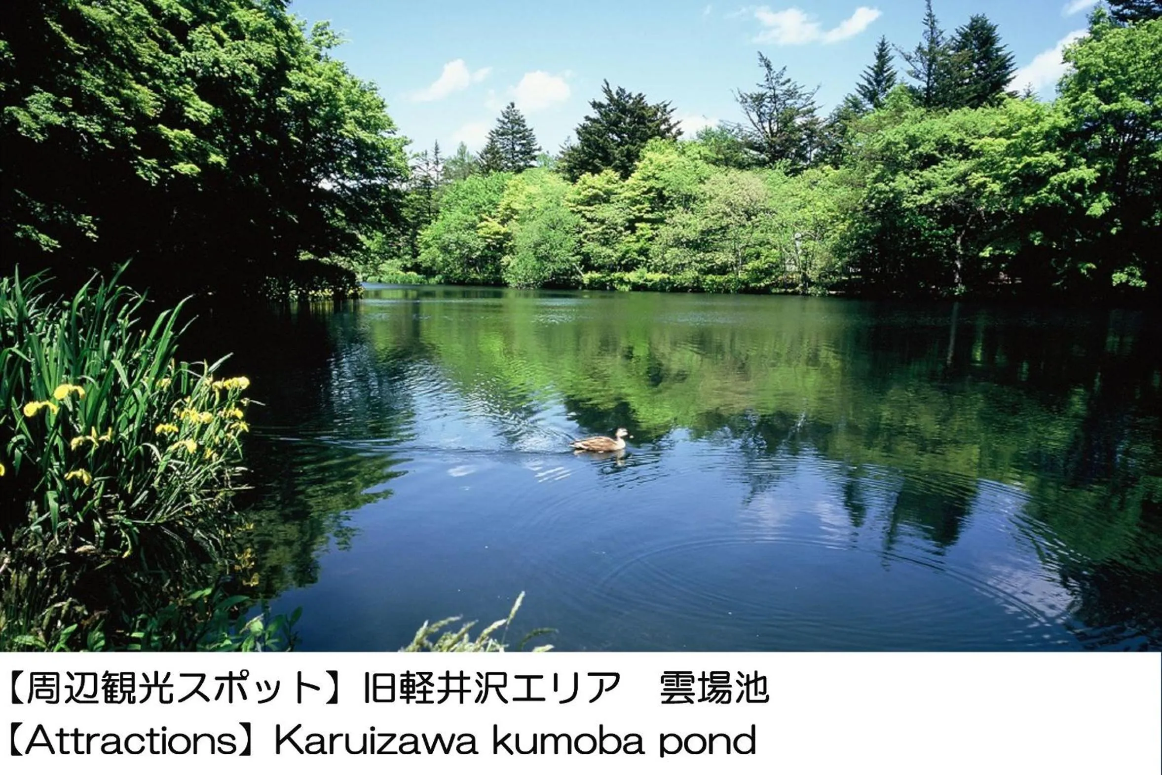 Nearby landmark in Karuizawakurabu Hotel 1130 Hewitt Resort