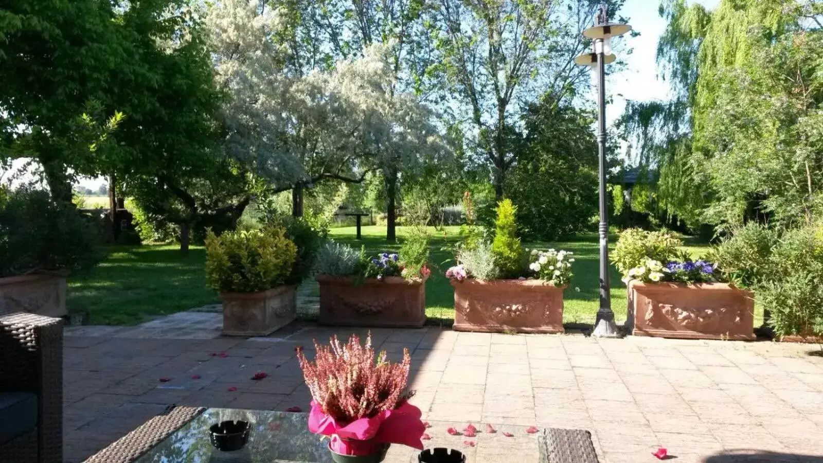 Garden in Antico Casale Cesenatico B&B