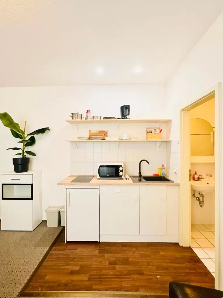 Kitchen/Kitchenette in Saale, Marktplatz Zentrum, Apartmenthaus am Dom von Plant Room