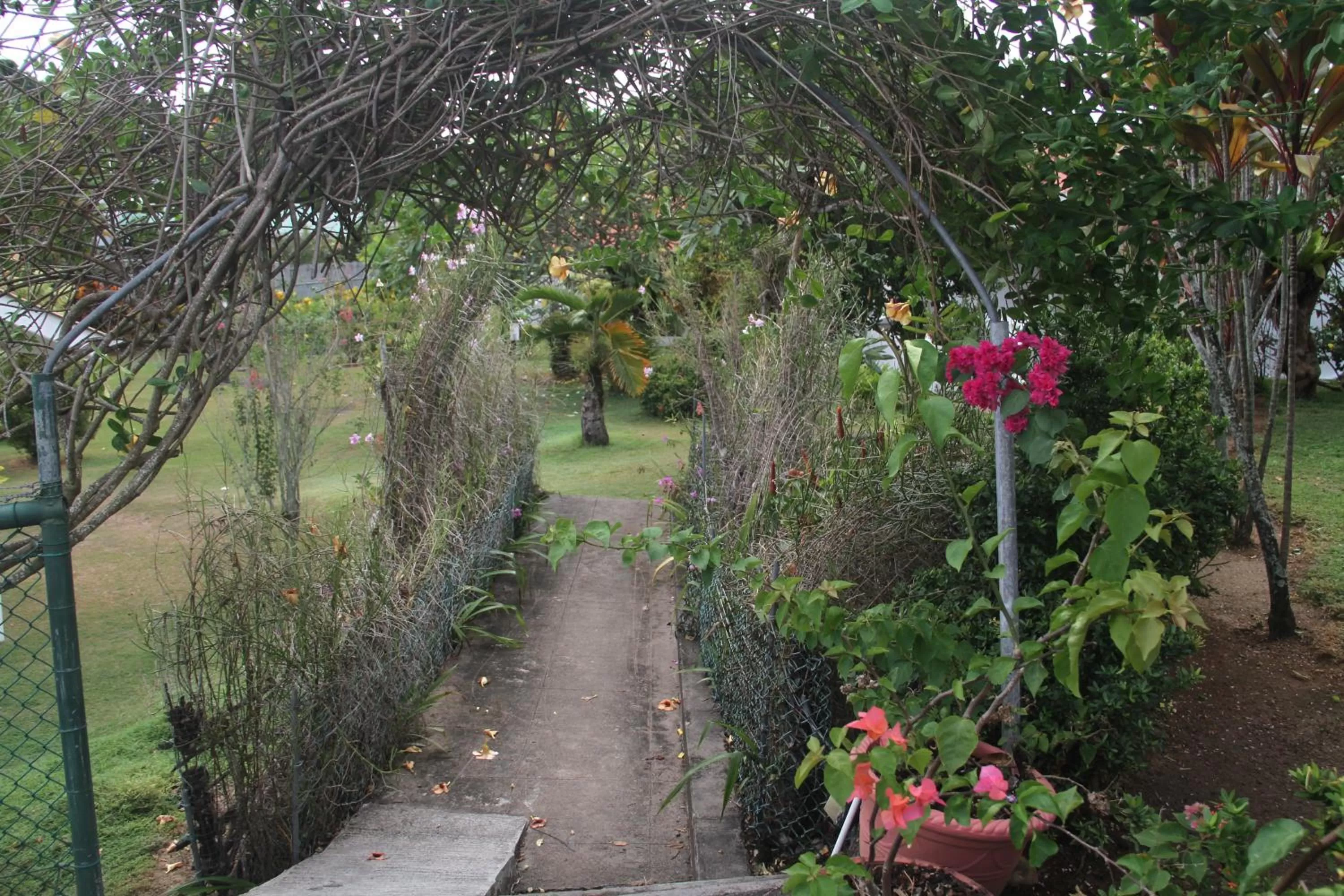 Garden in Daniella's Bungalows