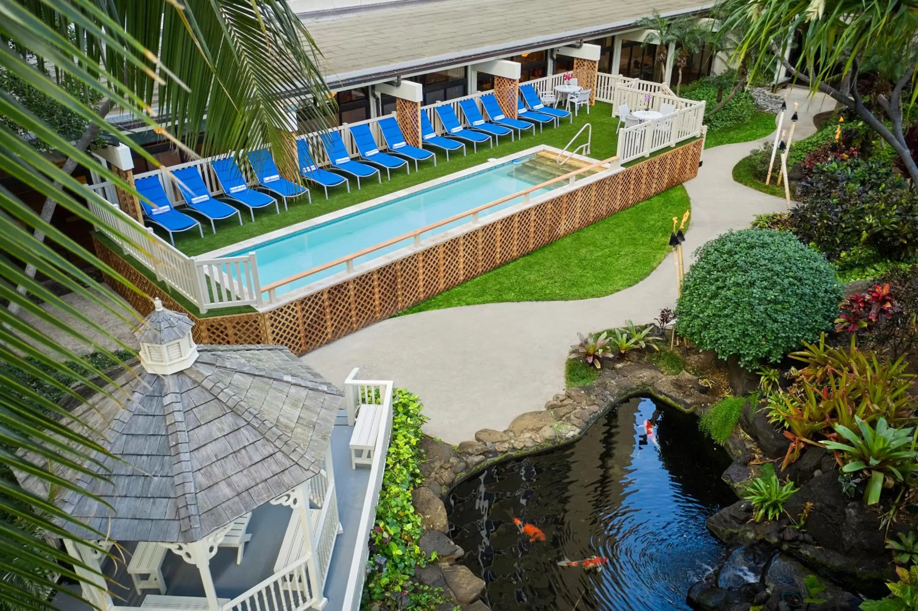 Swimming pool, Pool View in Hilton Waikiki Beach