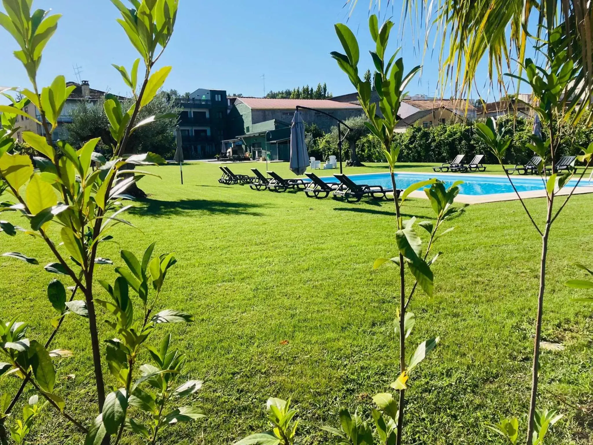 Swimming Pool in Ribeira House