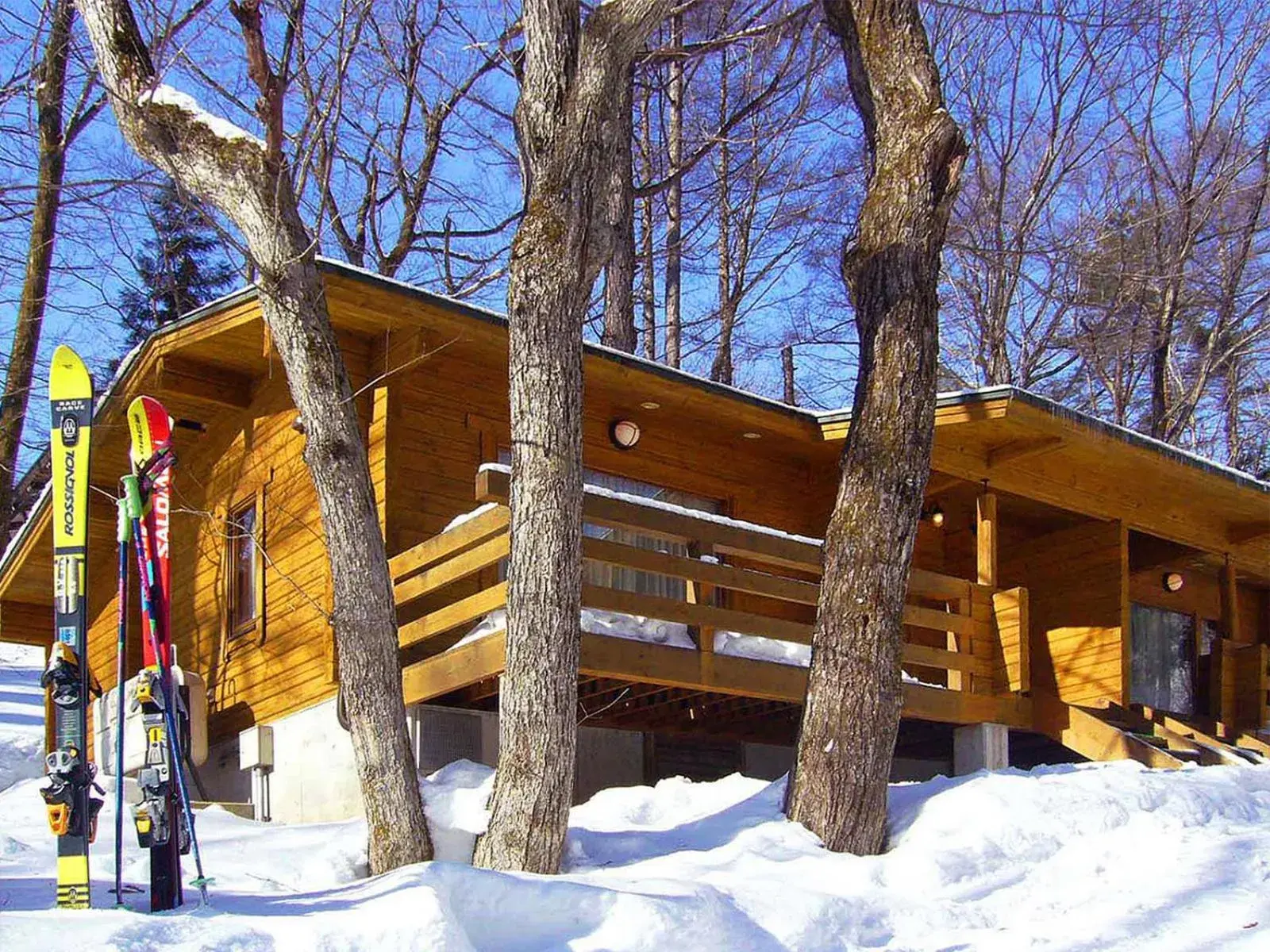 Standard Cottage in Hotel La Neige Standard Cottage in Hotel La Neige