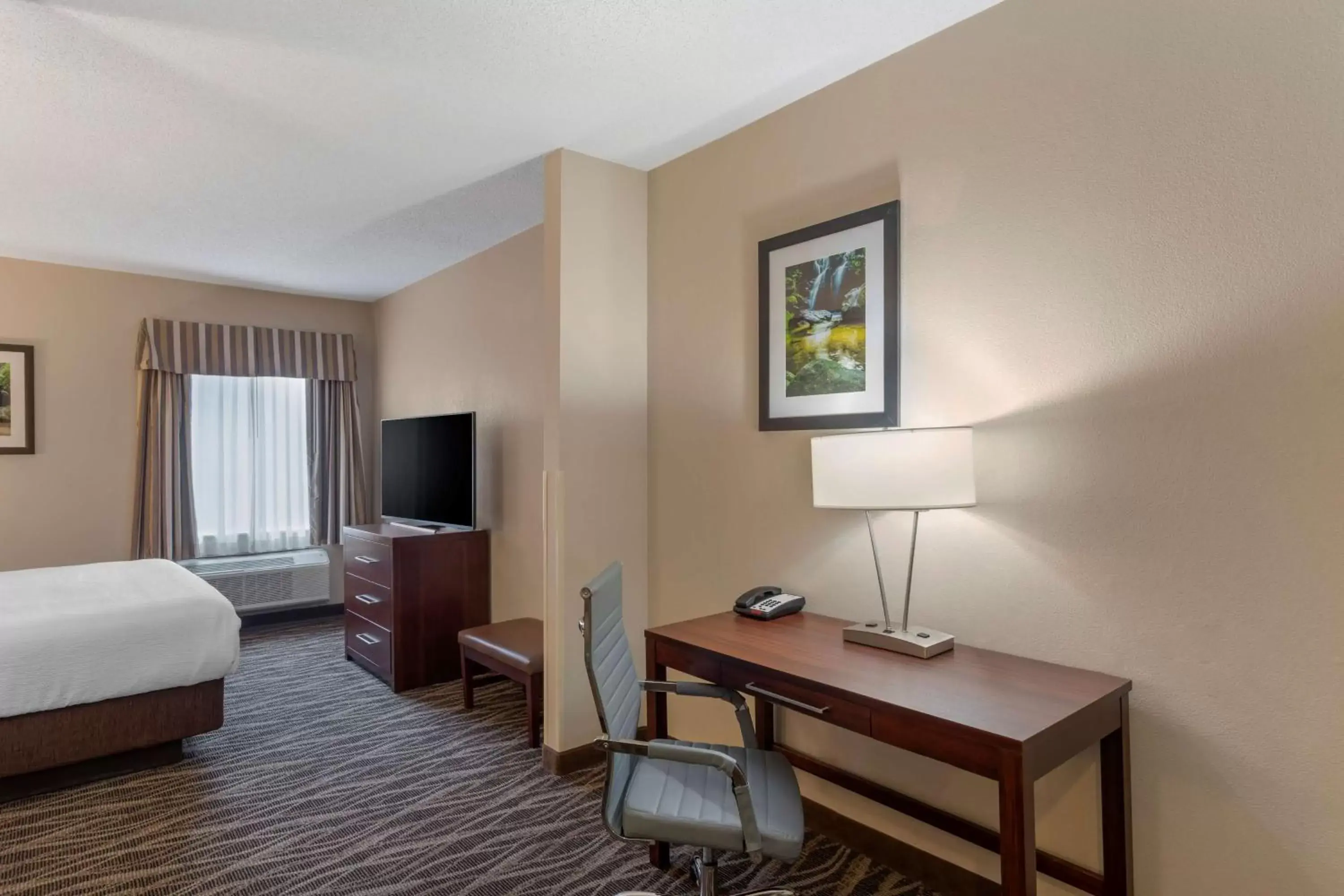 Bedroom, TV/Entertainment Center in Best Western Plus Russellville Hotel & Suites