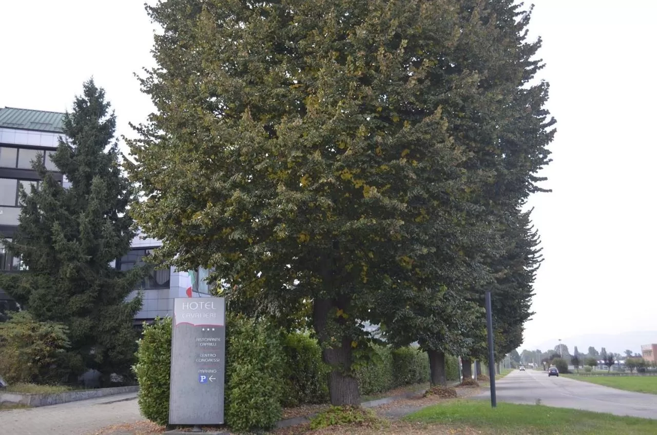 Natural landscape in HOTEL CAVALIERI