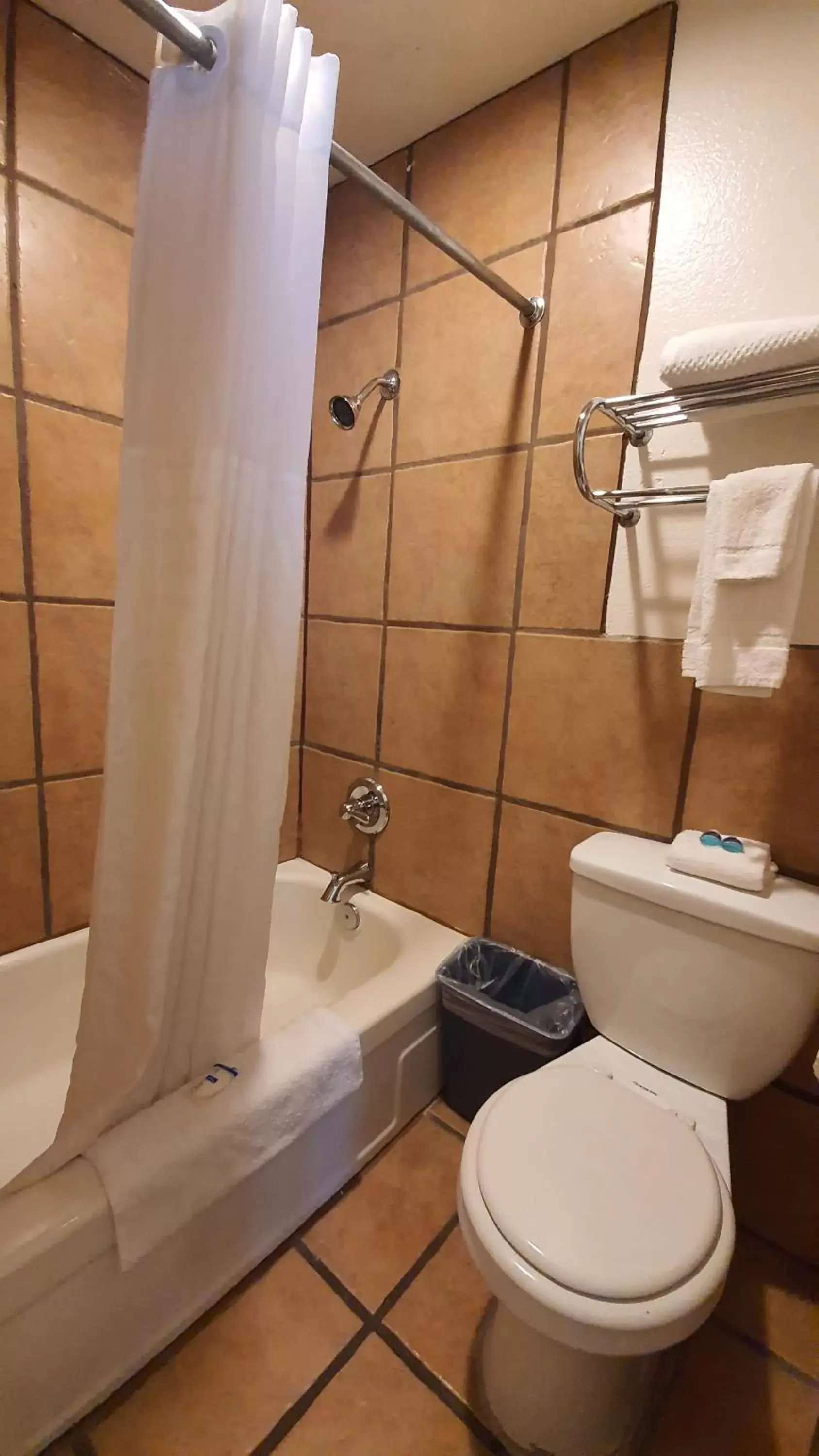 Bath, Bathroom in Rodeway Inn Flagstaff-Downtown