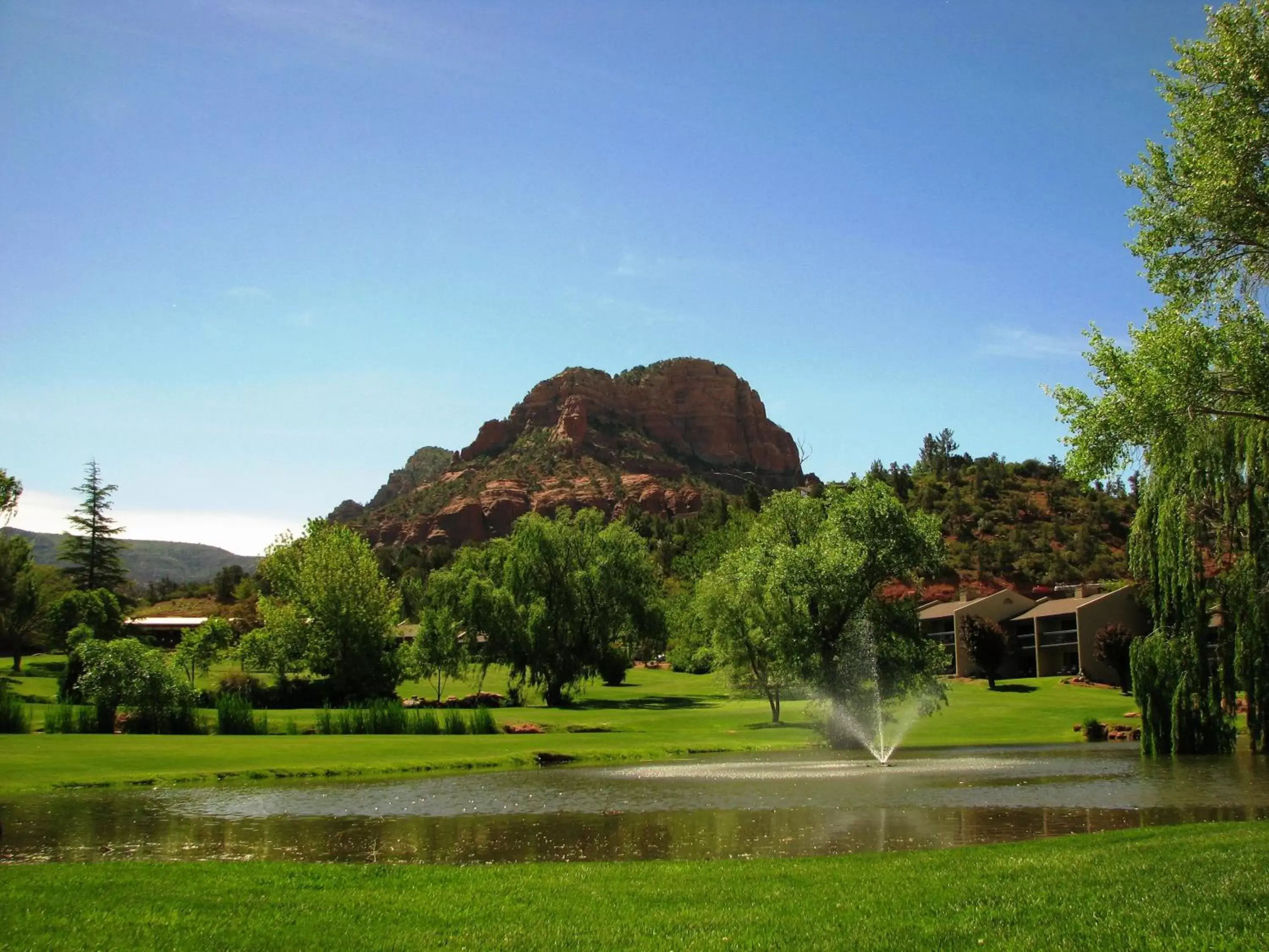 Garden in Villas at Poco Diablo, a VRI resort