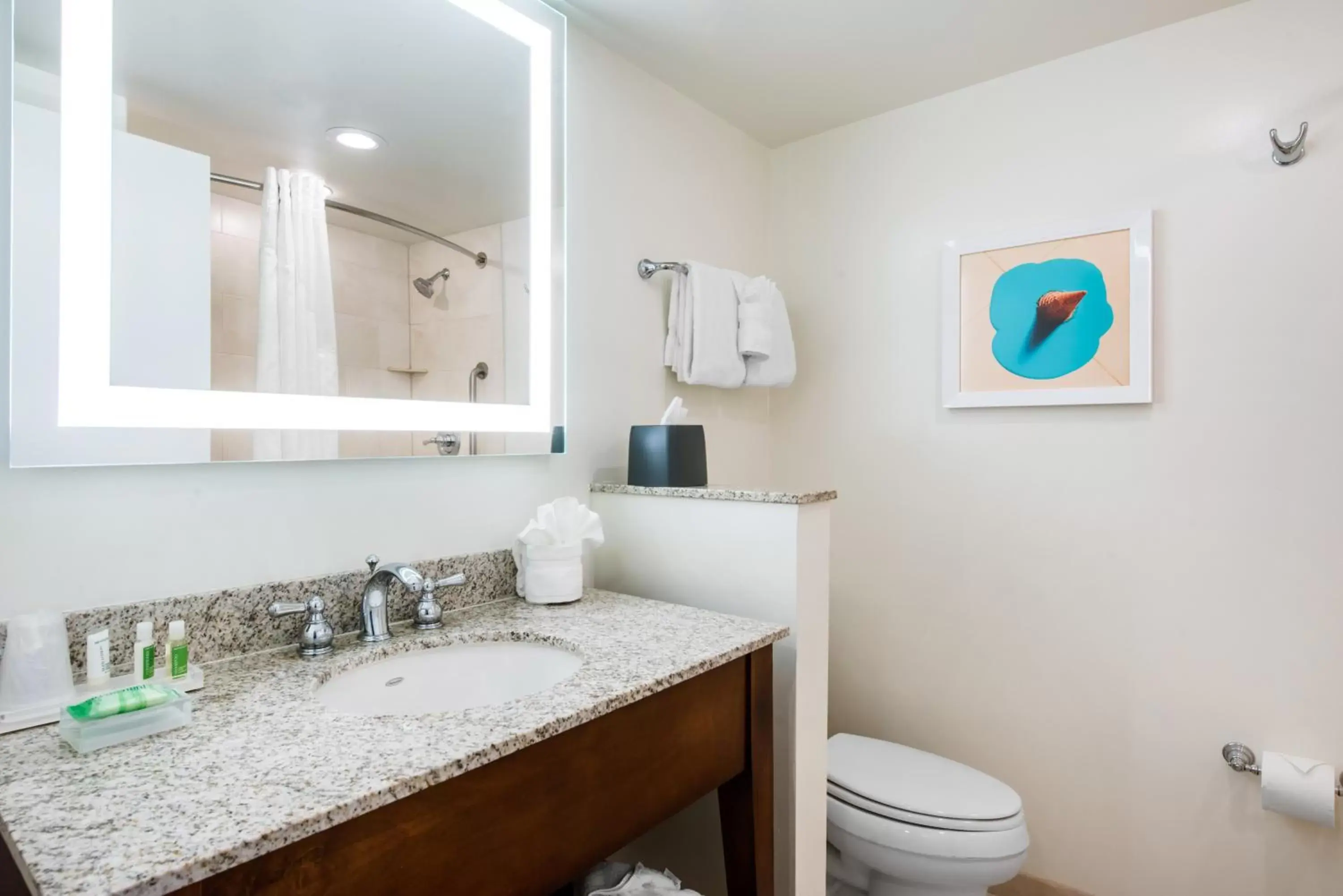 Bathroom in Holiday Inn Orlando – Disney Springs™ Area, an IHG Hotel