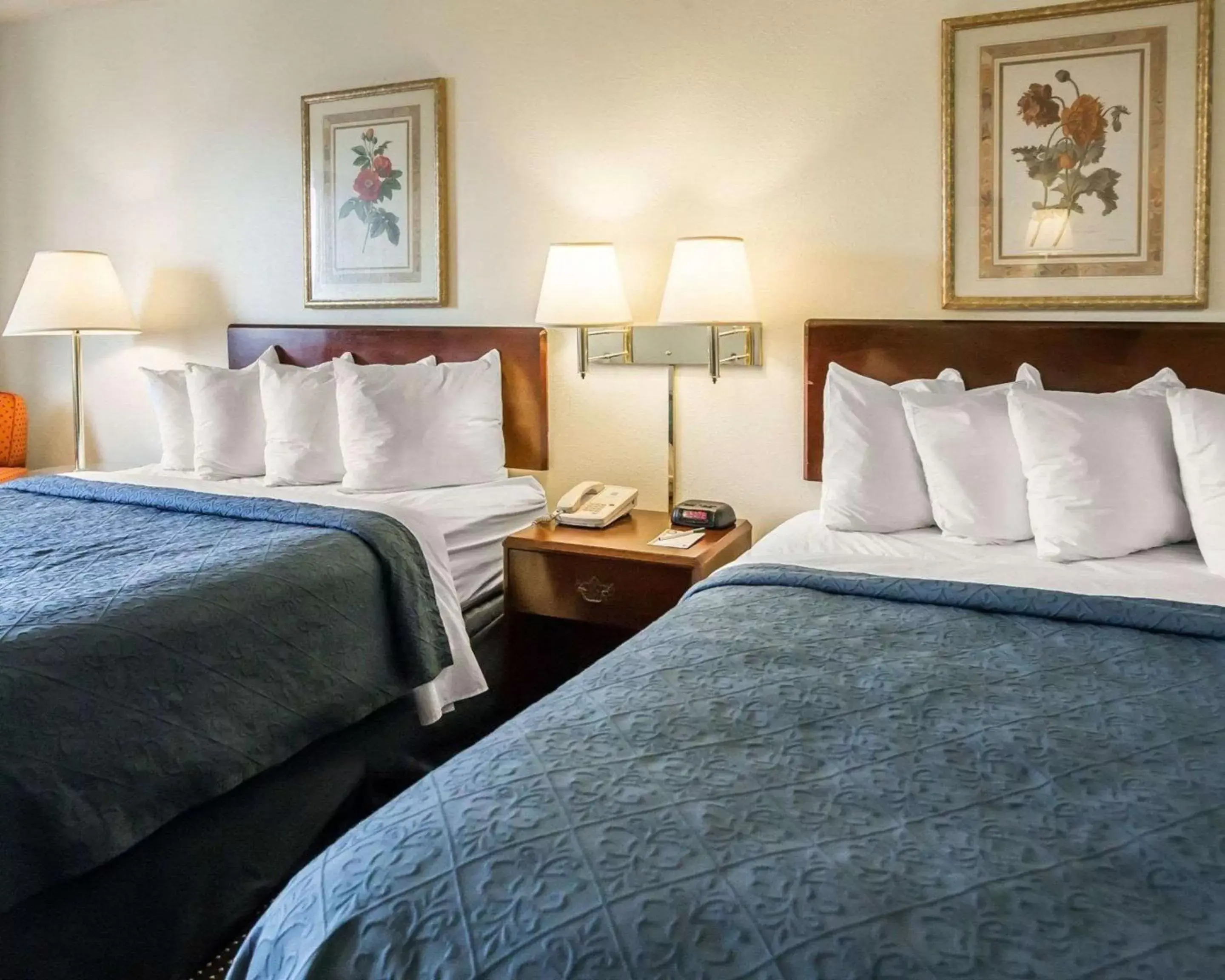 Photo of the whole room, Bed in Quality Inn Dundee Photo of the whole room, Bed in Quality Inn Dundee