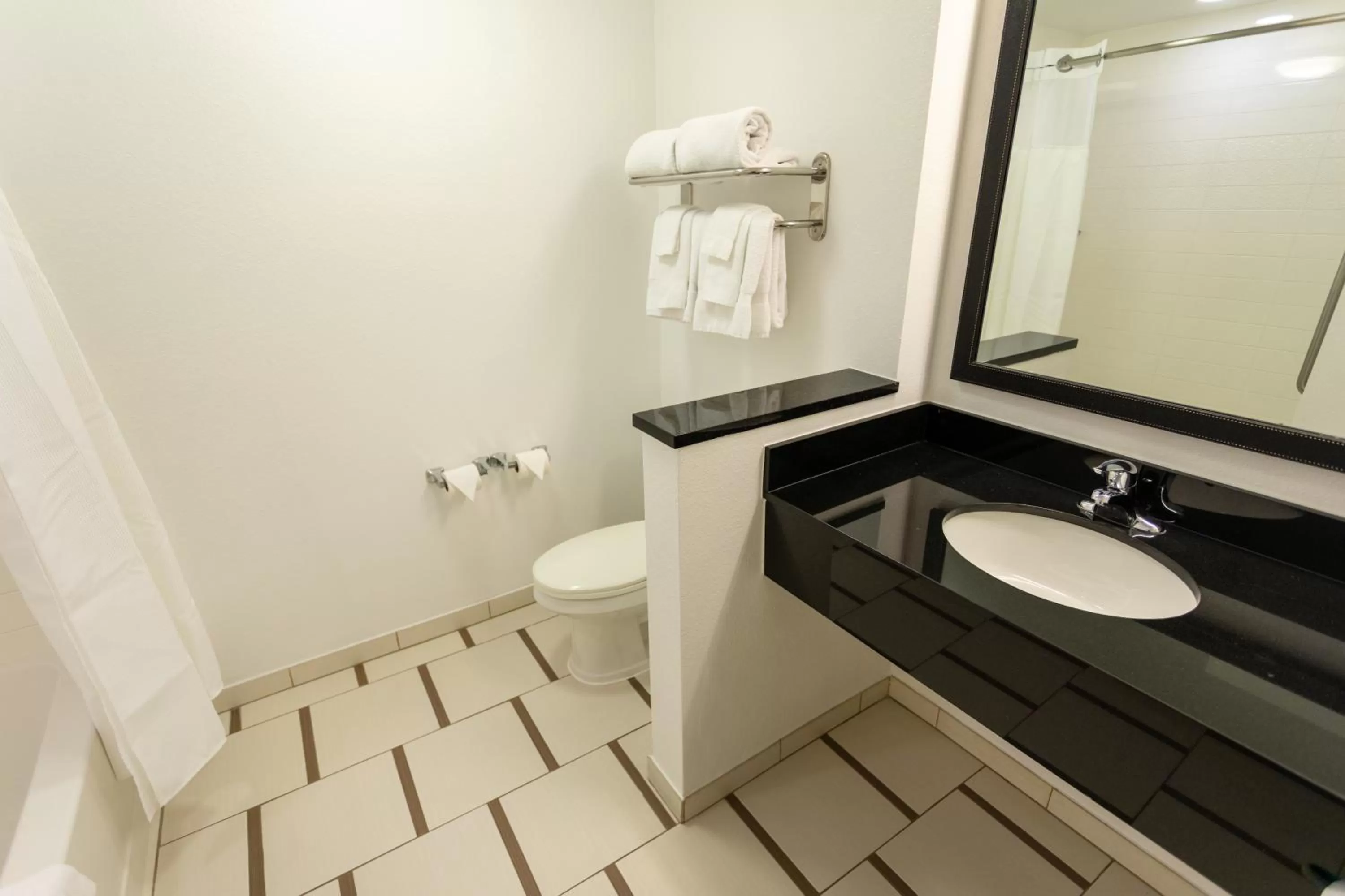 Toilet in Fairfield Inn & Suites by Marriott Athens I-65
