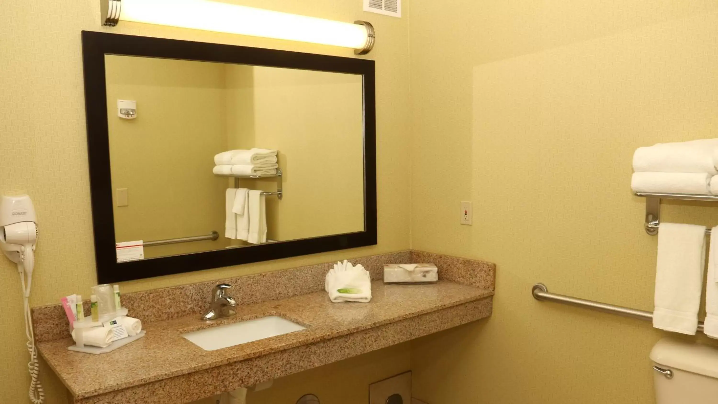 Bathroom in Holiday Inn Express Hotel & Suites Saginaw, an IHG Hotel