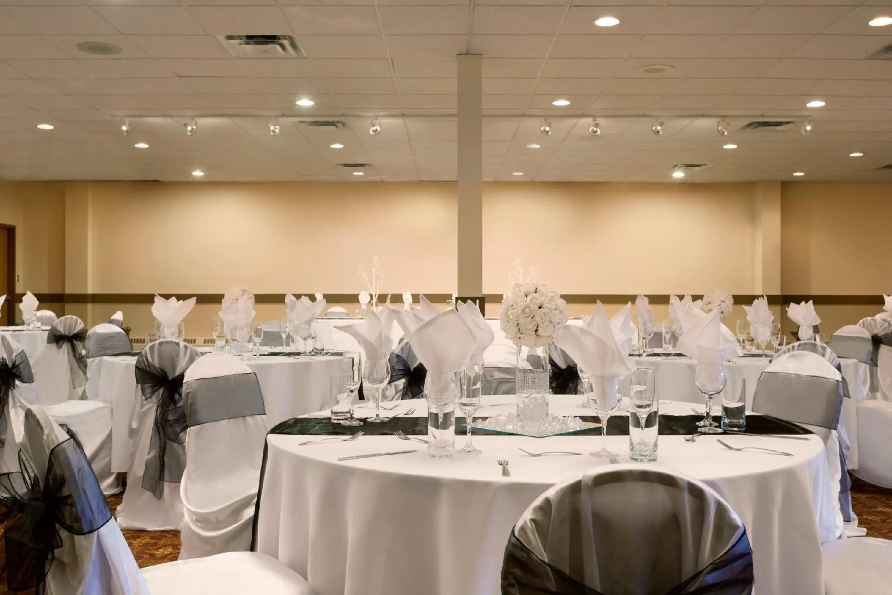 Banquet/Function facilities, Banquet Facilities in Border Inn & Suites