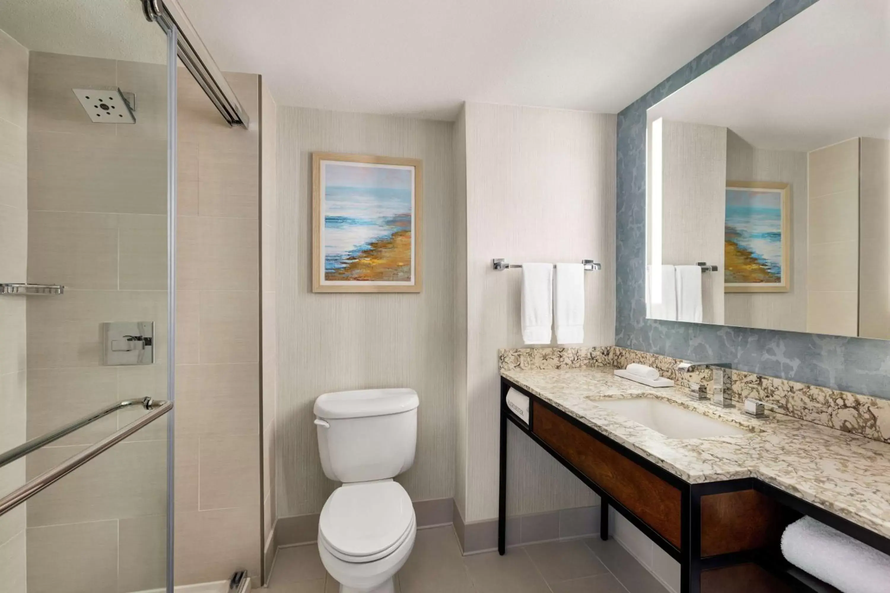 Bathroom in Hilton Garden Inn Carlsbad Beach