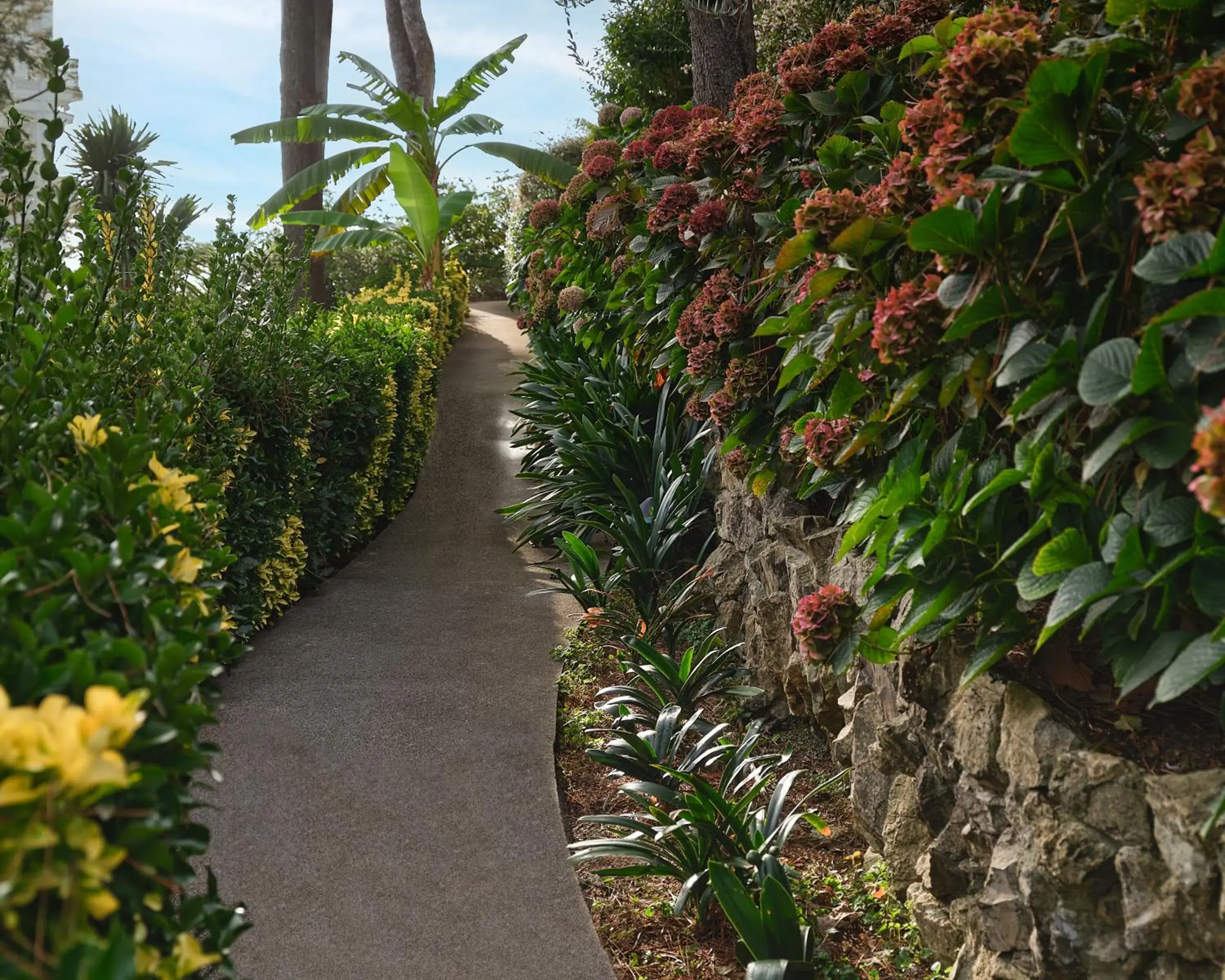 Garden in Grand Hotel Miramare