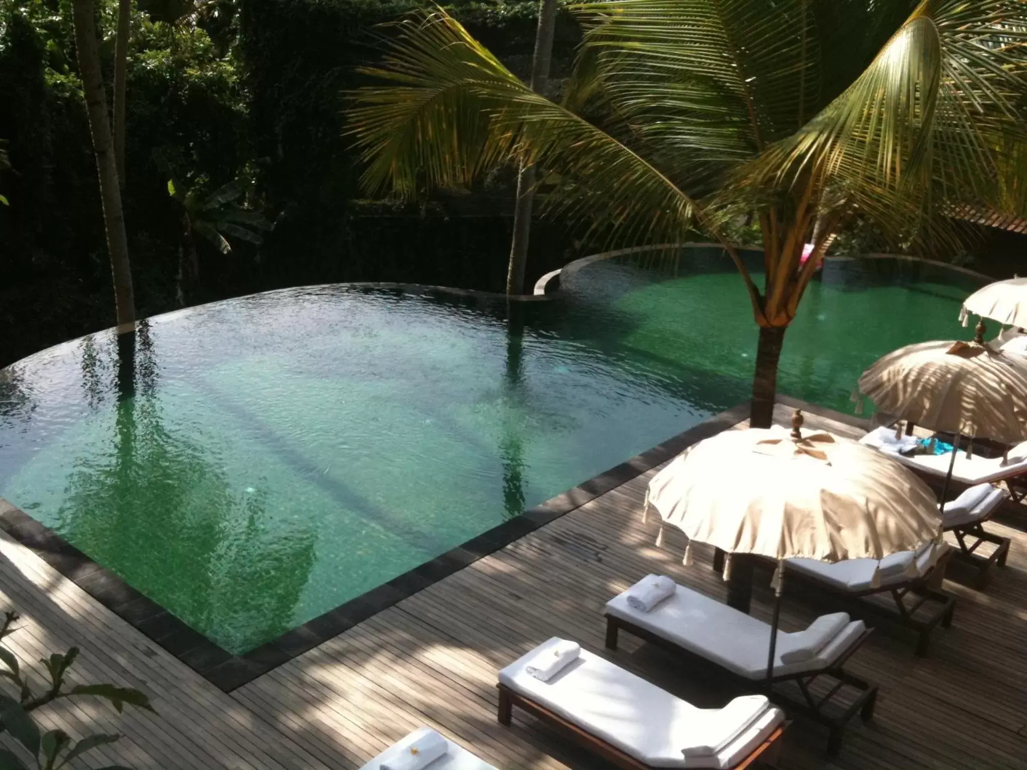 Pool view in Komaneka at Rasa Sayang Ubud Pool view in Komaneka at Rasa Sayang Ubud