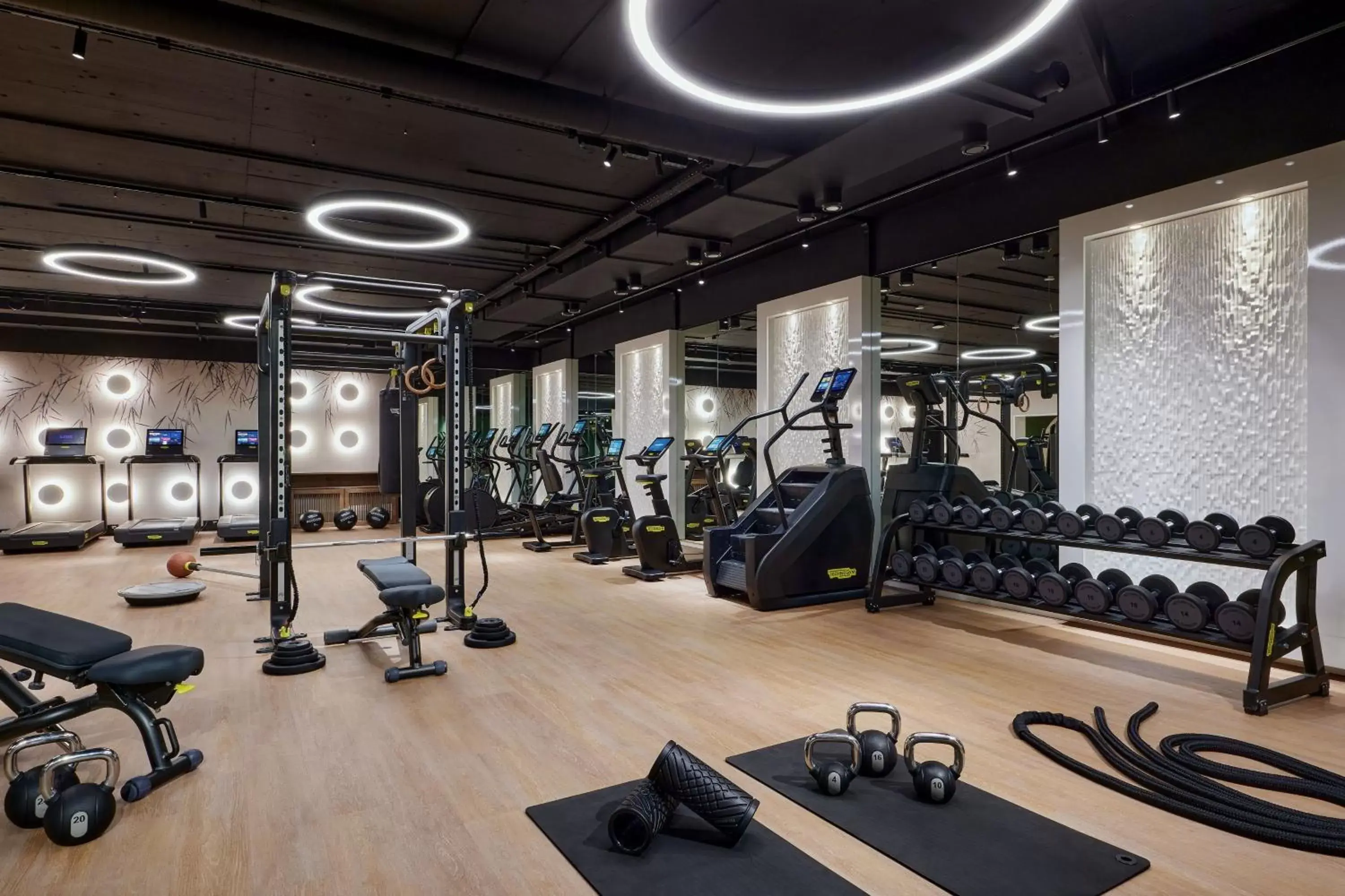 Fitness centre/facilities, Fitness Center/Facilities in Basel Marriott Hotel