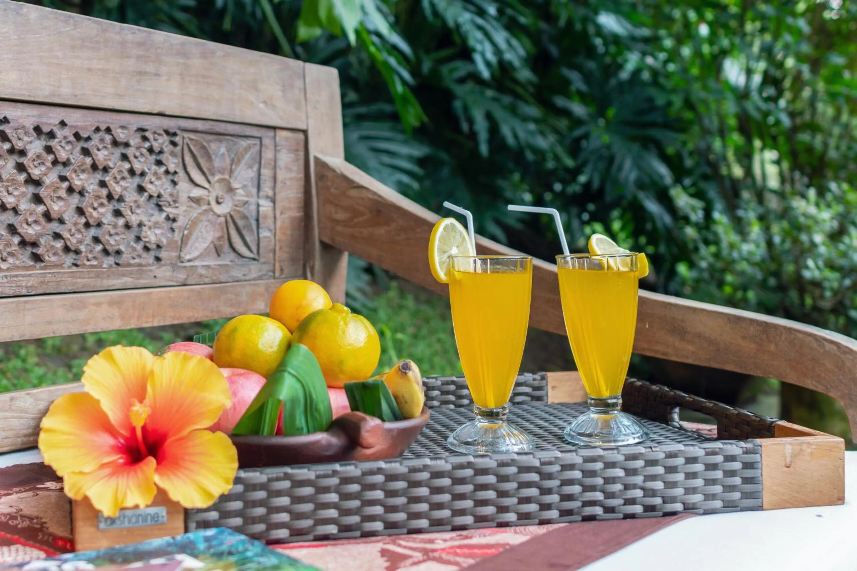 Garden in Villa Mulyono