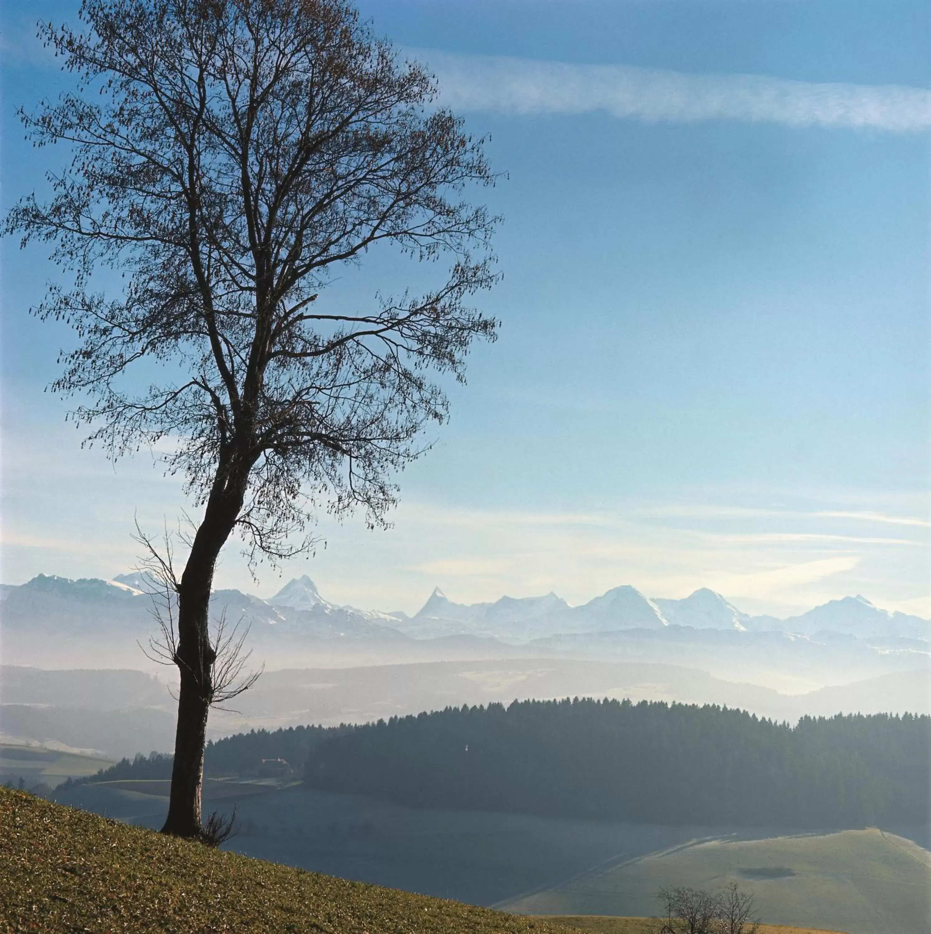 Natural landscape in BnB SchlafSchloss