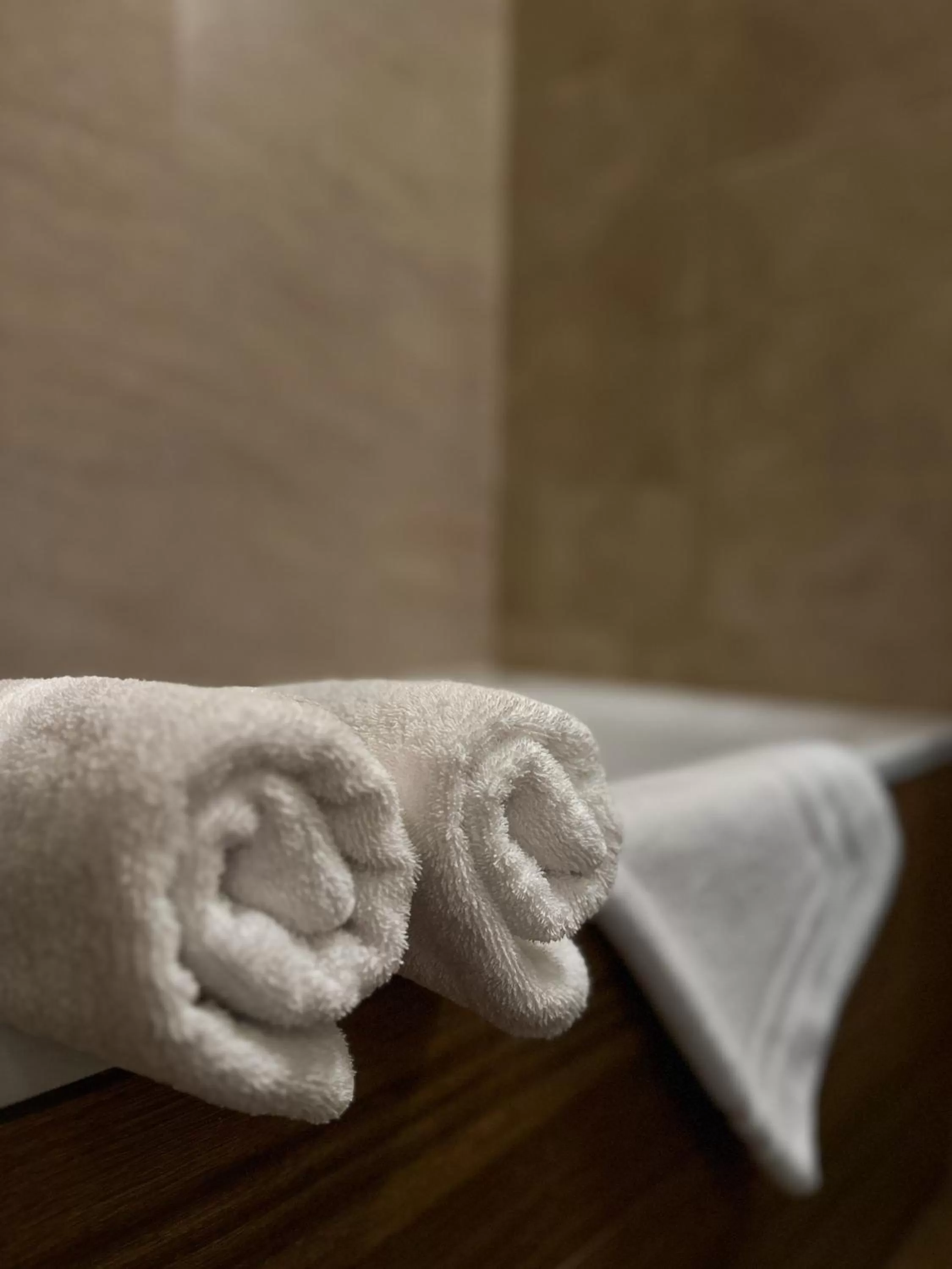 towels in Hotel Theresia