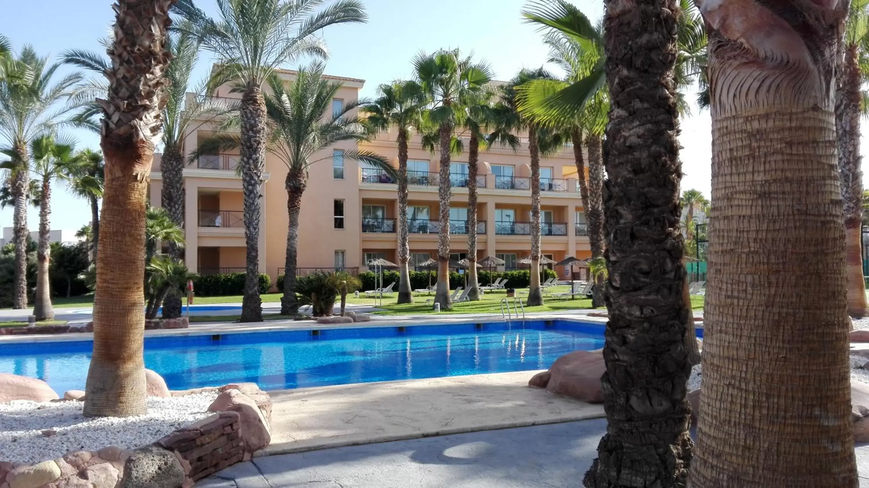 Swimming Pool in Hotel Alicante Golf