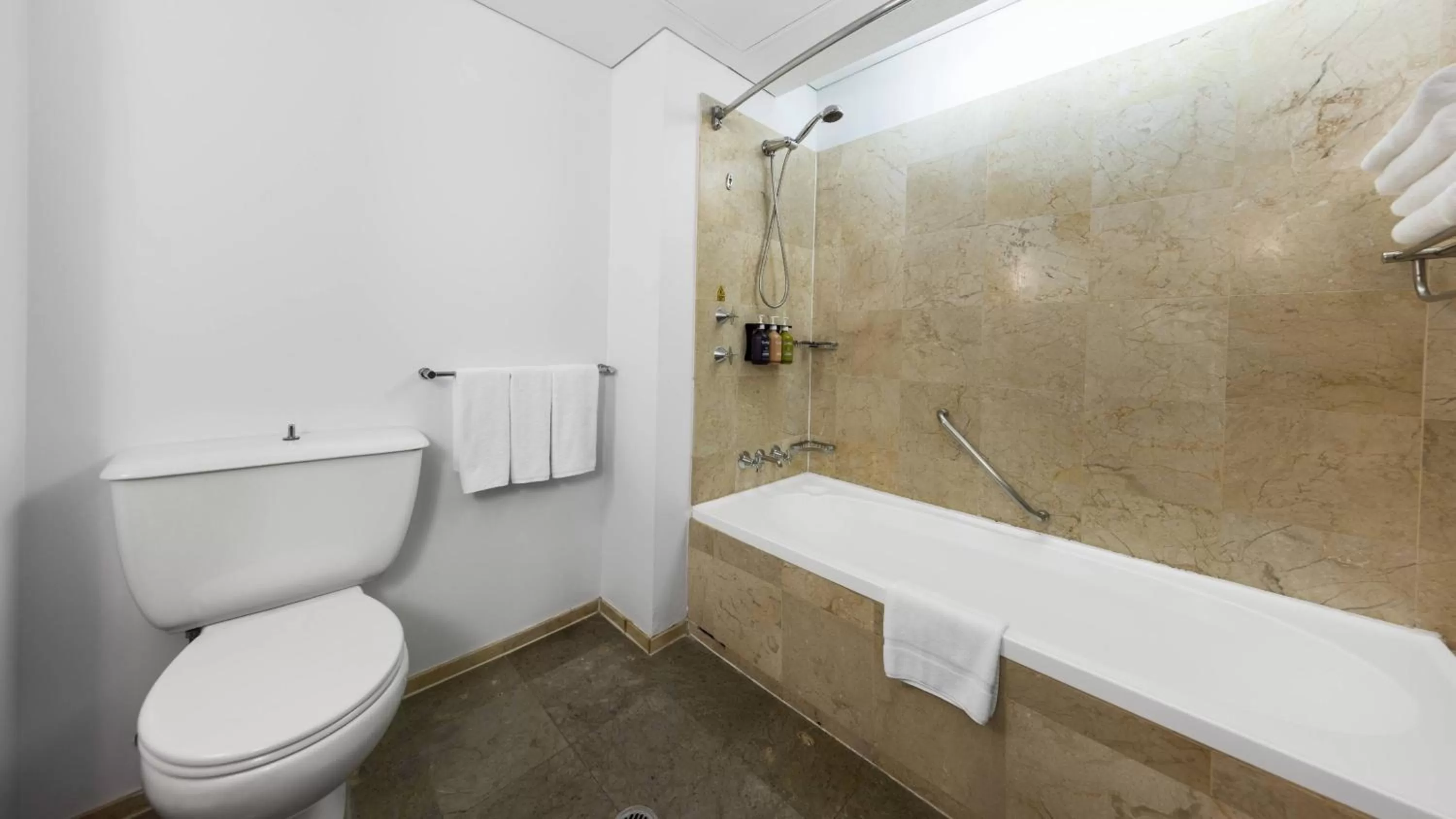 Bathroom in Holiday Inn Sydney Potts Point