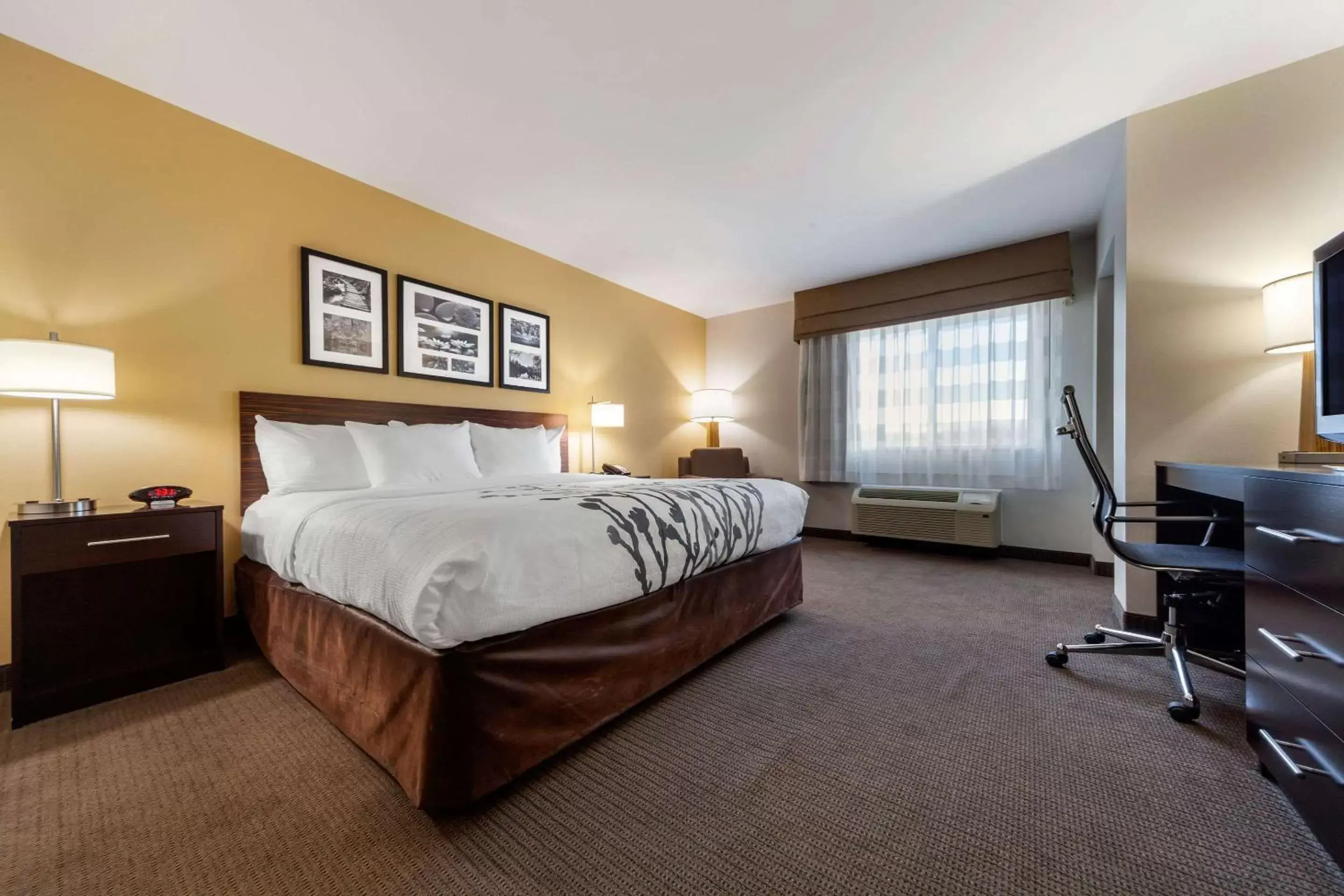 Photo of the whole room, Bed in Sleep Inn & Suites Bismarck I-94