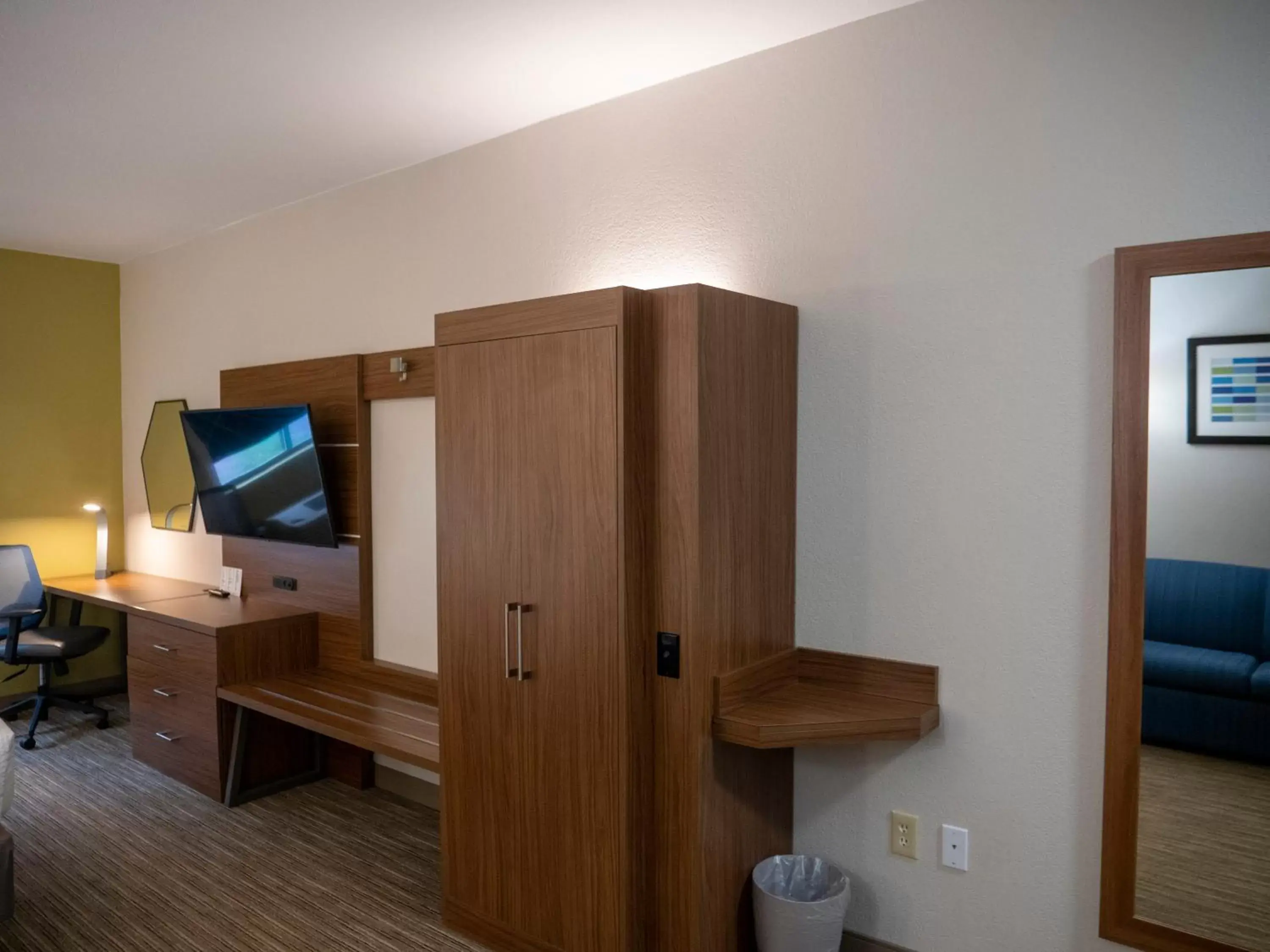 TV/Entertainment Center in Holiday Inn Express & Suites Greenville Airport, an IHG Hotel
