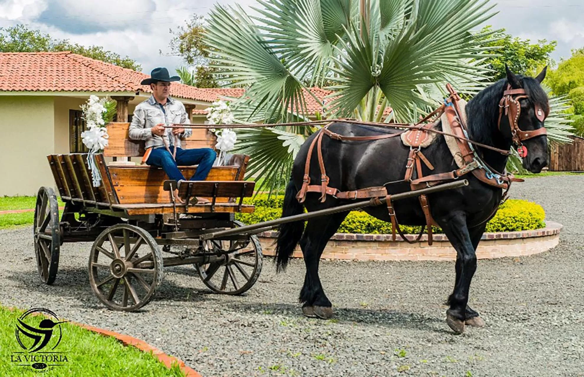 Other Animals in La Victoria Hotel Campestre