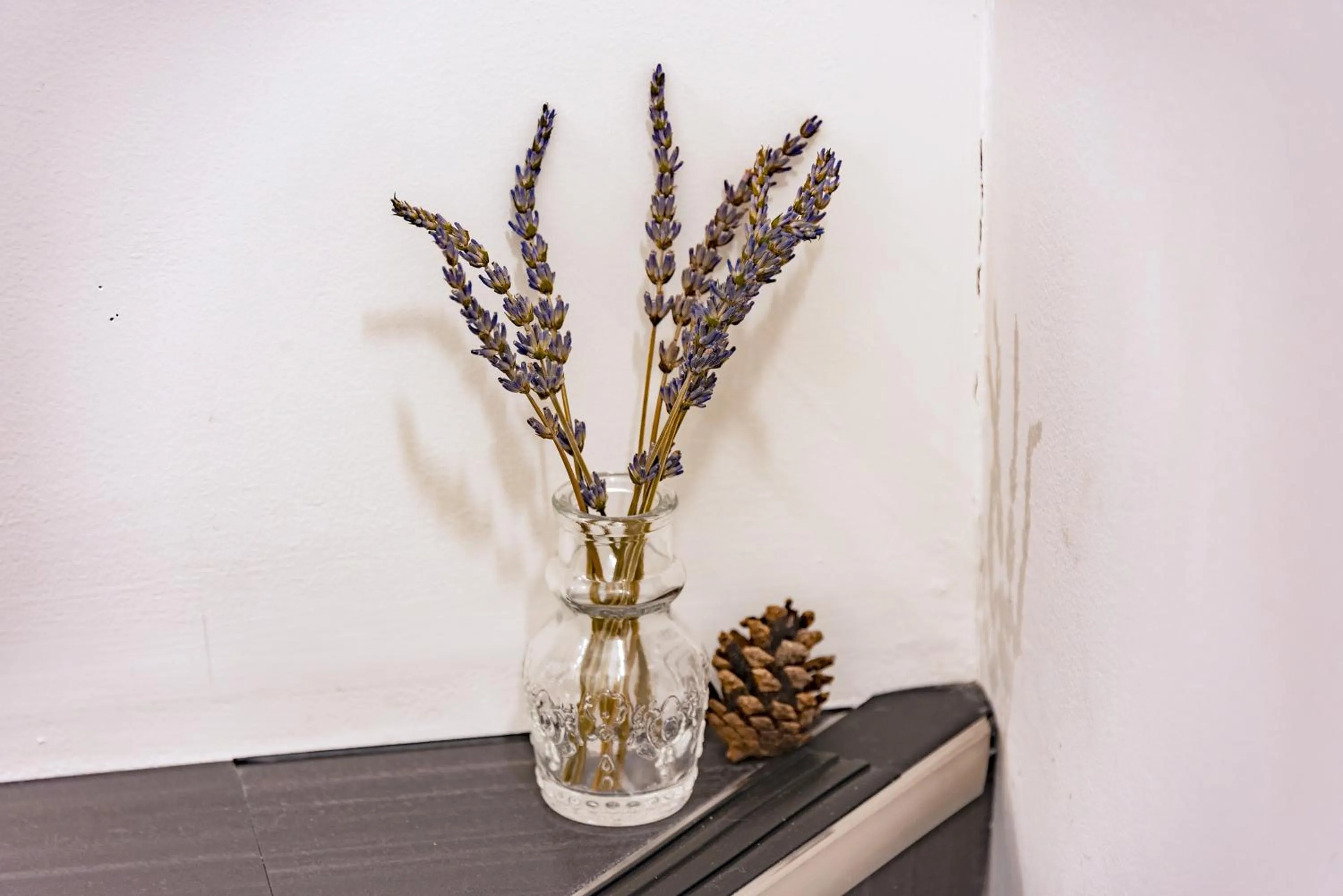 Decorative detail in plat hostel keikyu sapporo sky