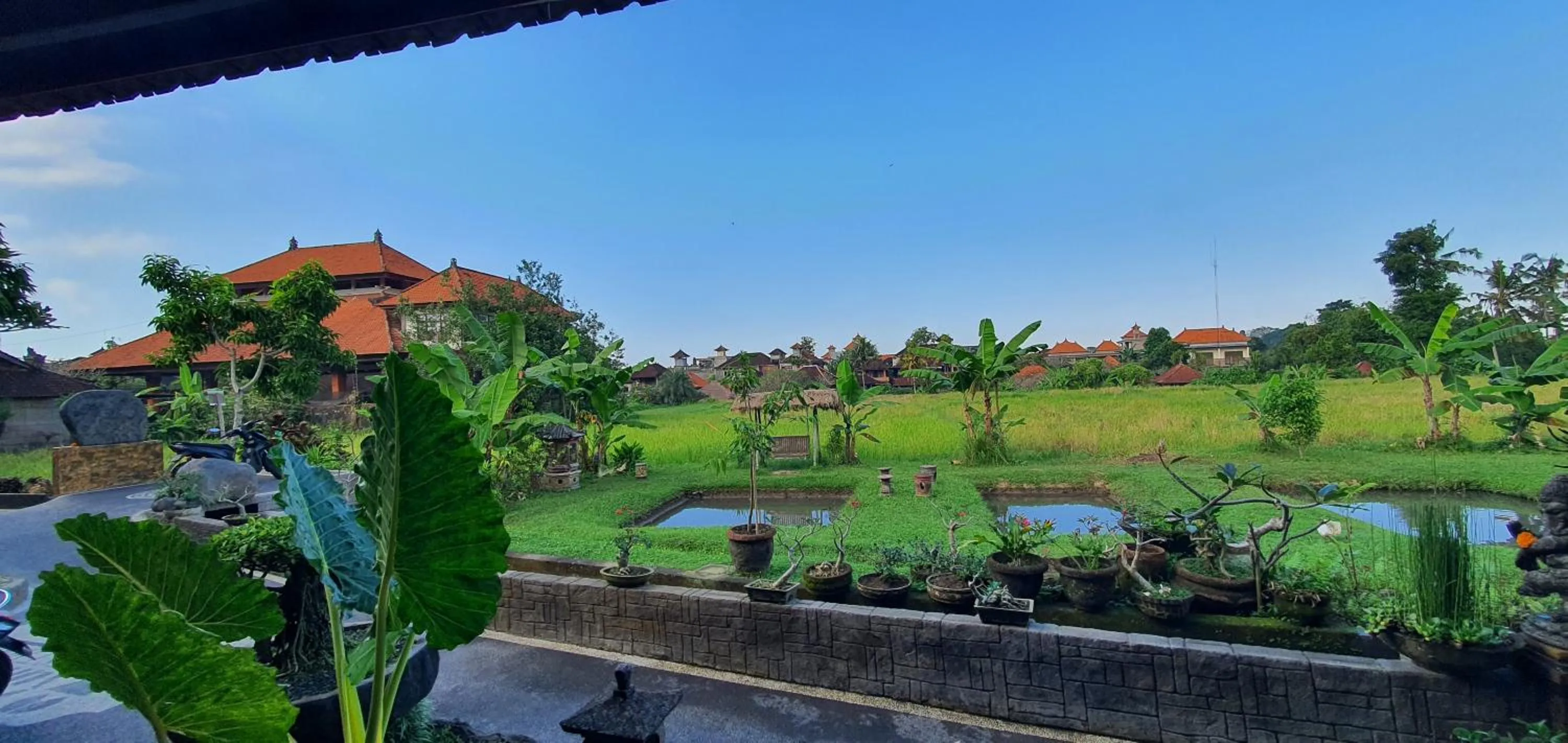 Natural landscape in Kun - Kun Guest House Ubud