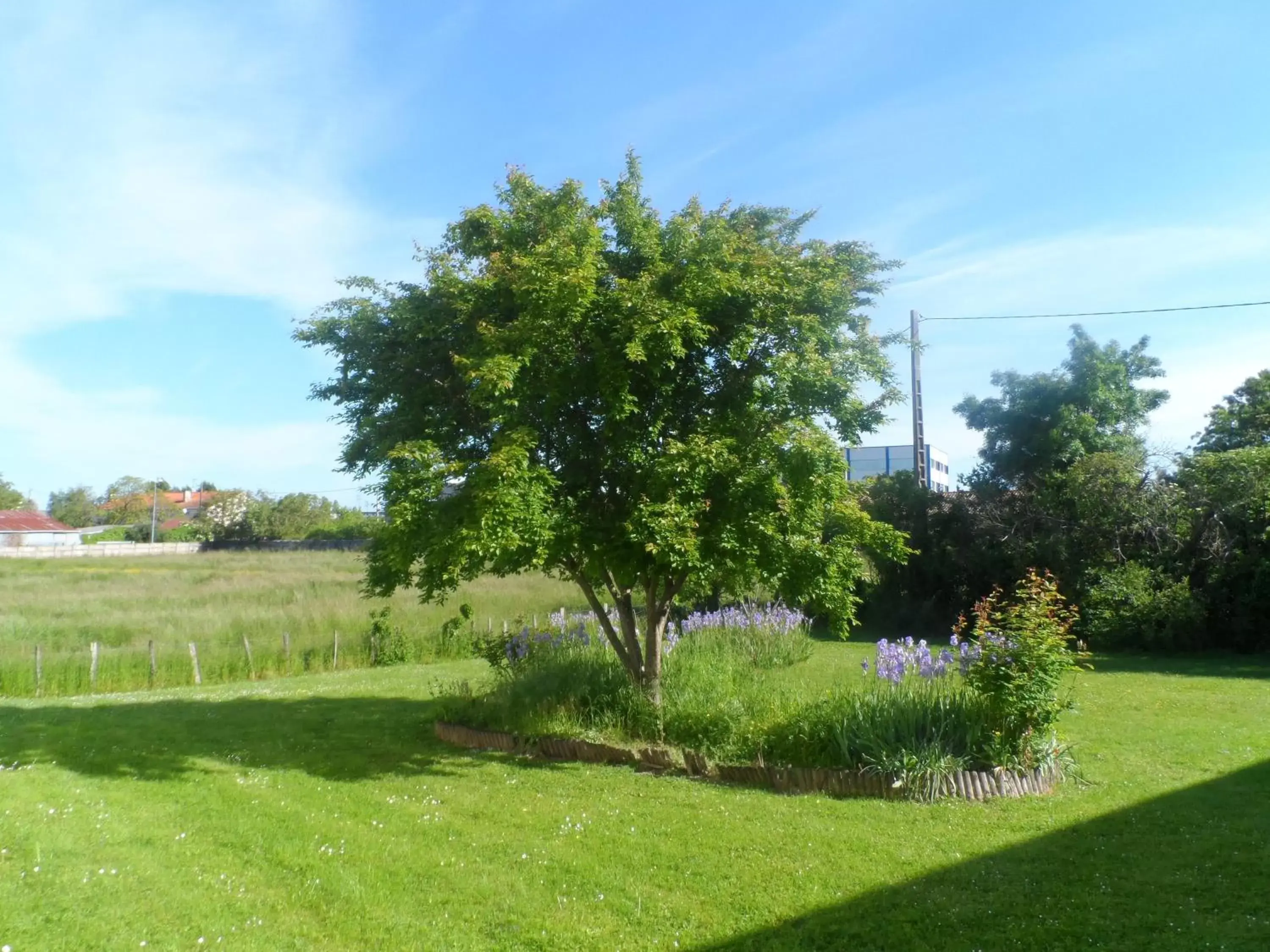 Garden in ibis Niort Marais Poitevin