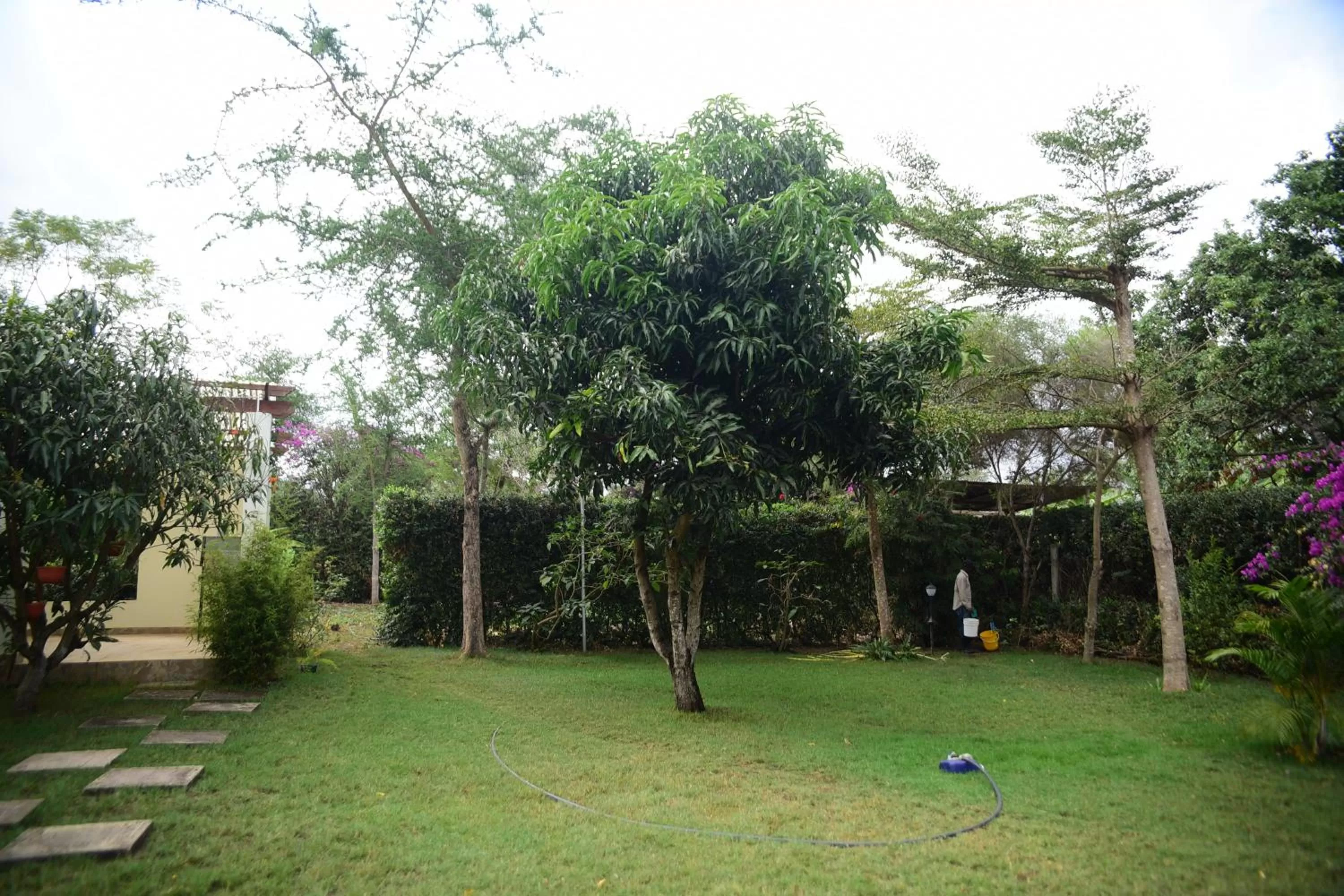 Garden in Charming Eco-Homestay near Kilimanjaro International Airport